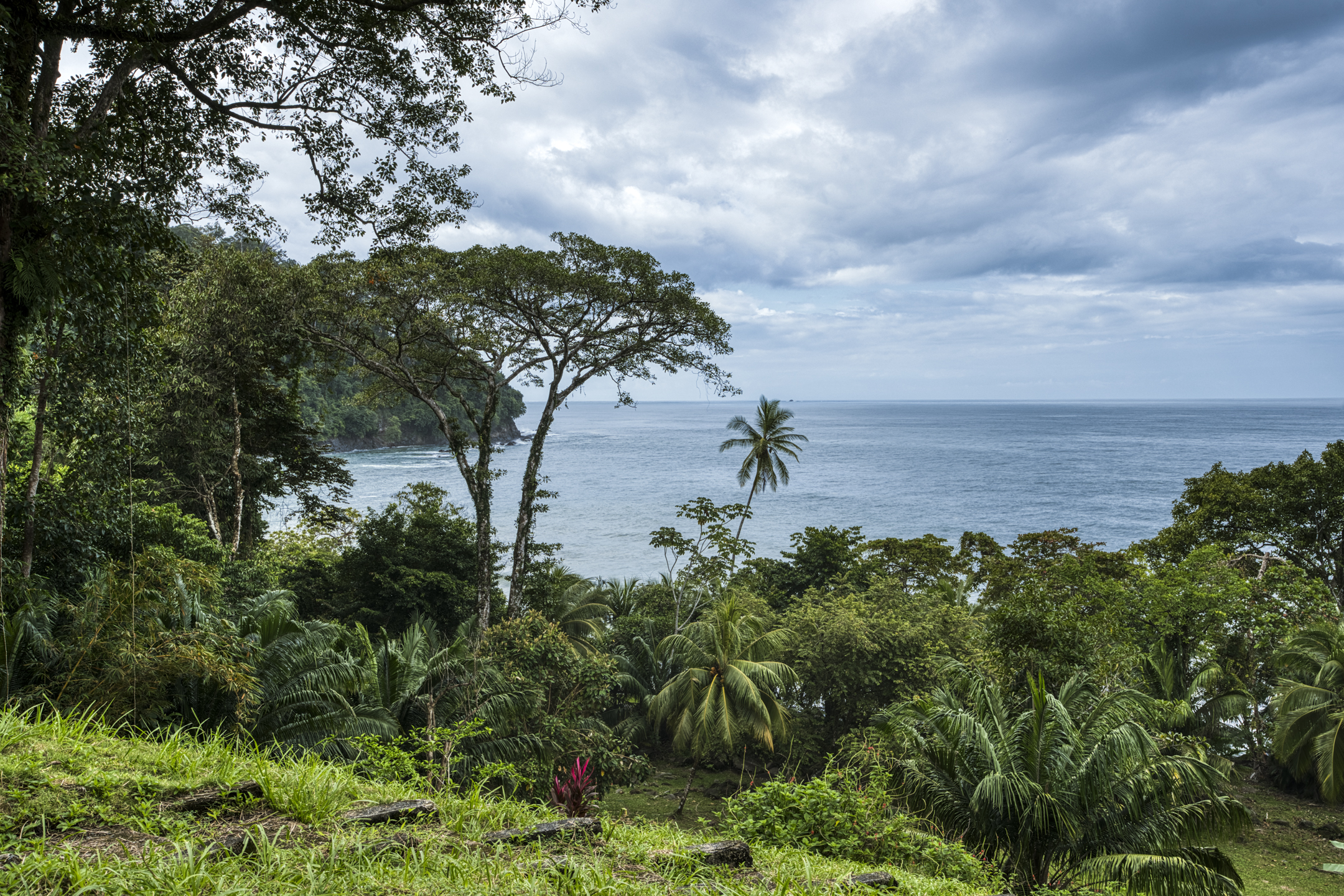 Dominical, Puntarenas, CR, ,Land,For Sale,1839872