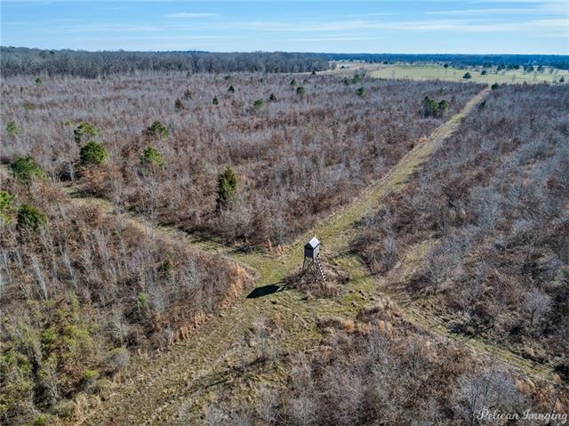 0 Highway 527, Elm Grove, Louisiana, 71051, United States, ,Residential,For Sale,0 Highway 527,1434134