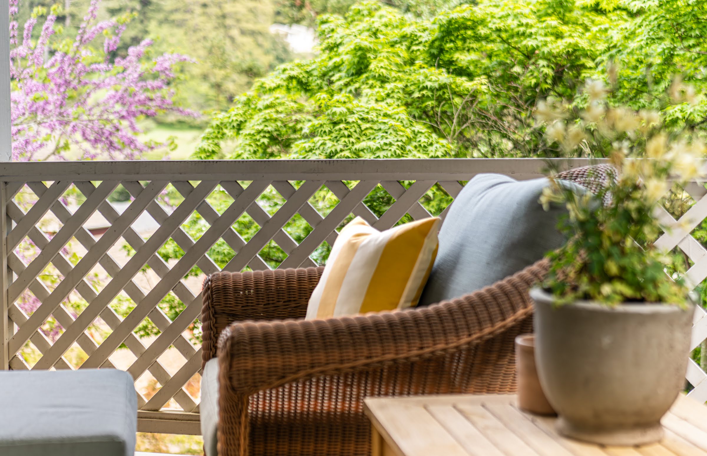  14952 Coleman Valley Road - 物件實景