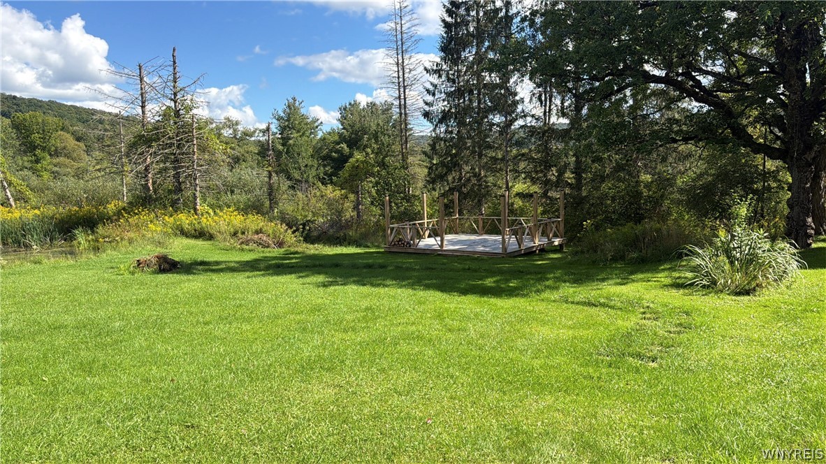Prill Rd, East Otto, NY 14729 #1