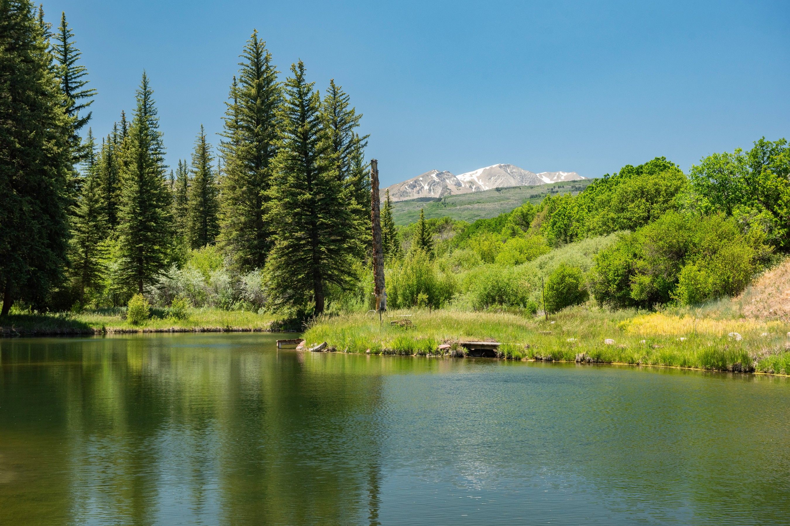  Historic Ranch Heritage Meets Refined Mountain Living - 物件實景