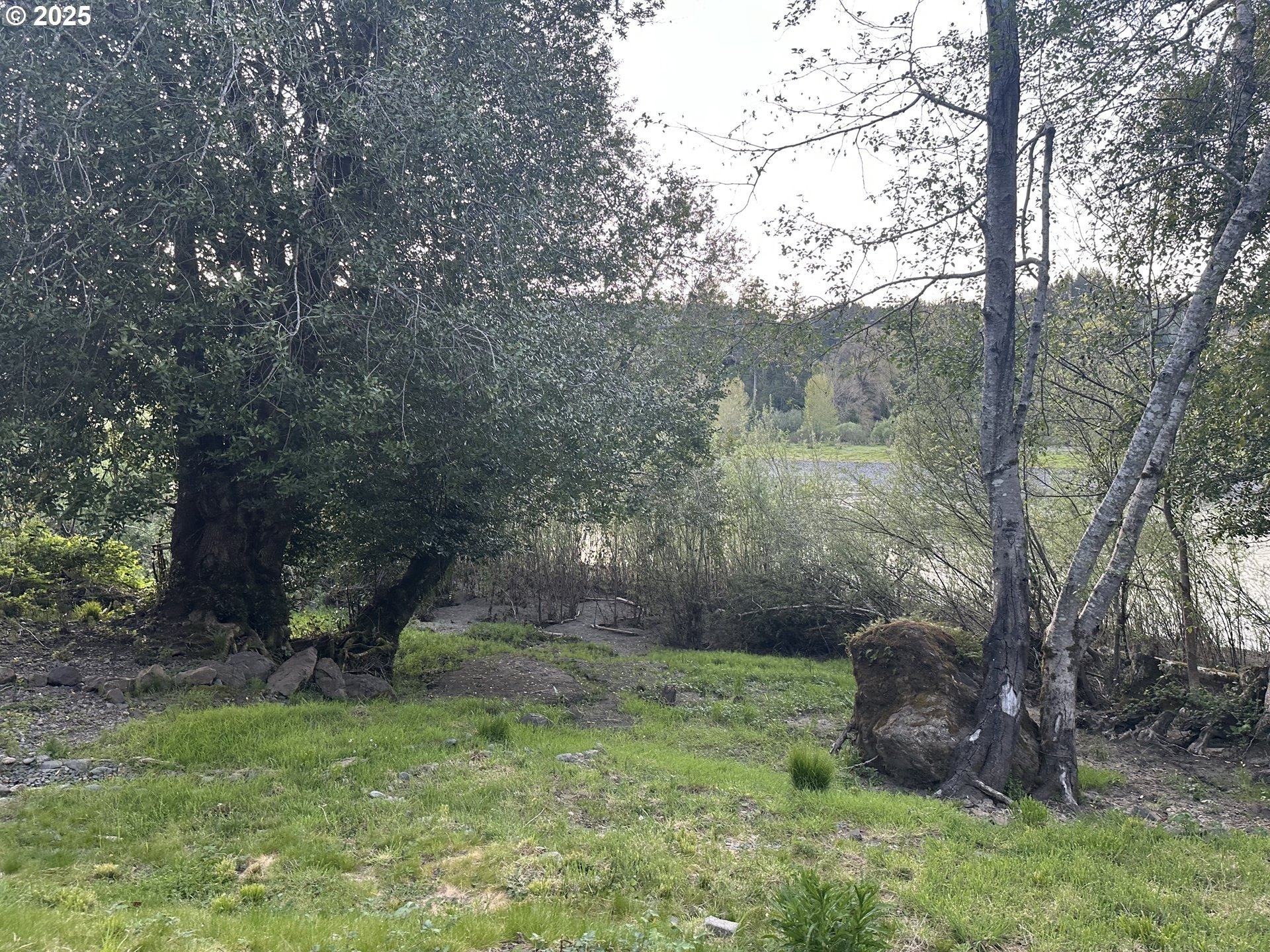 Brookings, Oregon, 97415, United States, 1 Bedroom Bedrooms, ,1 BathroomBathrooms,Residential,For Sale,1979383