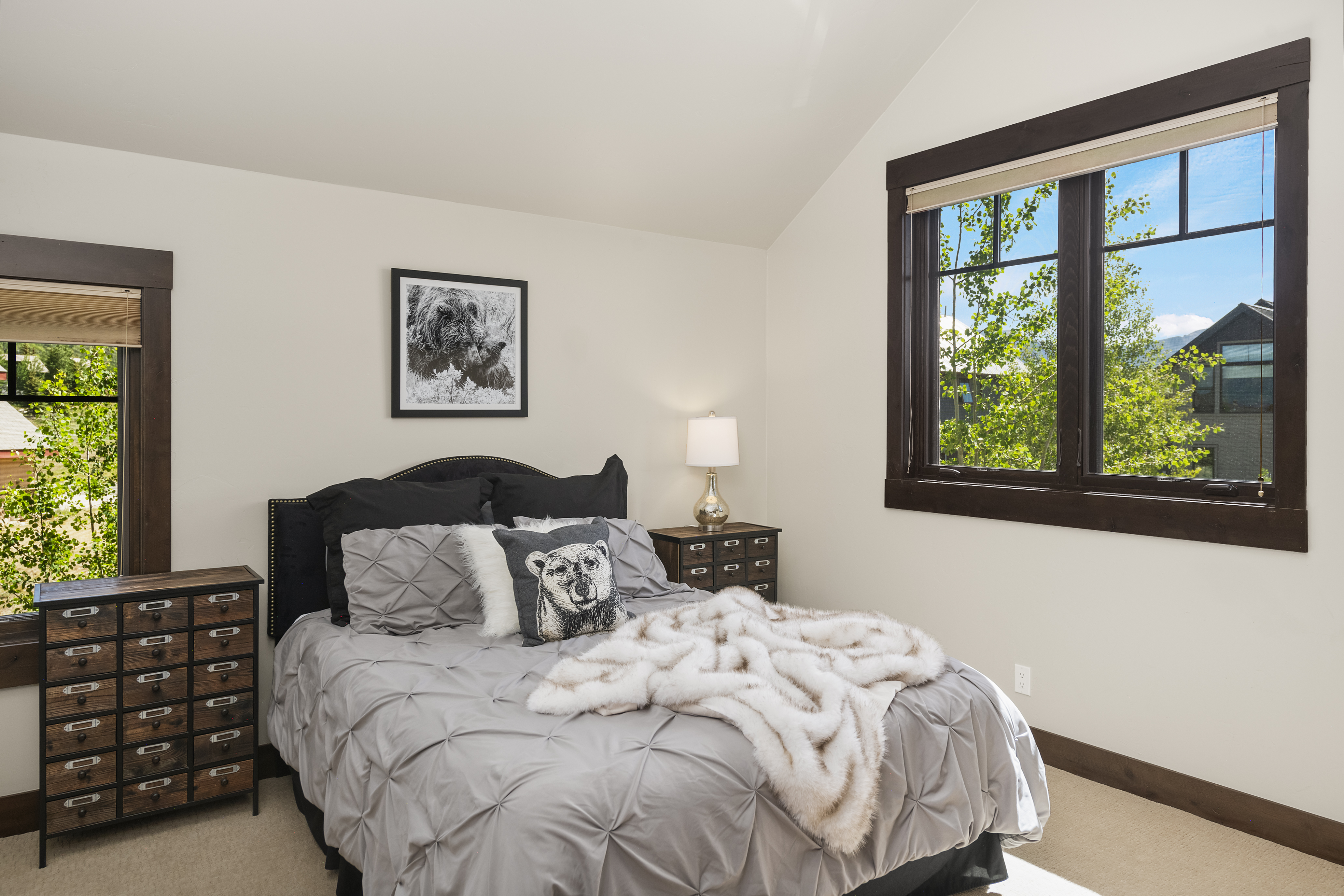  330 Larkspur Loop, Crested Butte, CO 81224 - 物件實景