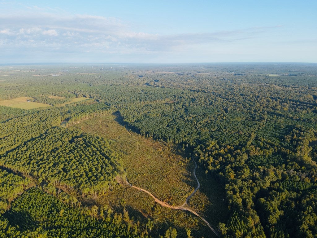 Abbeville, Georgia, 31001, United States, ,Land,For Sale,1975130