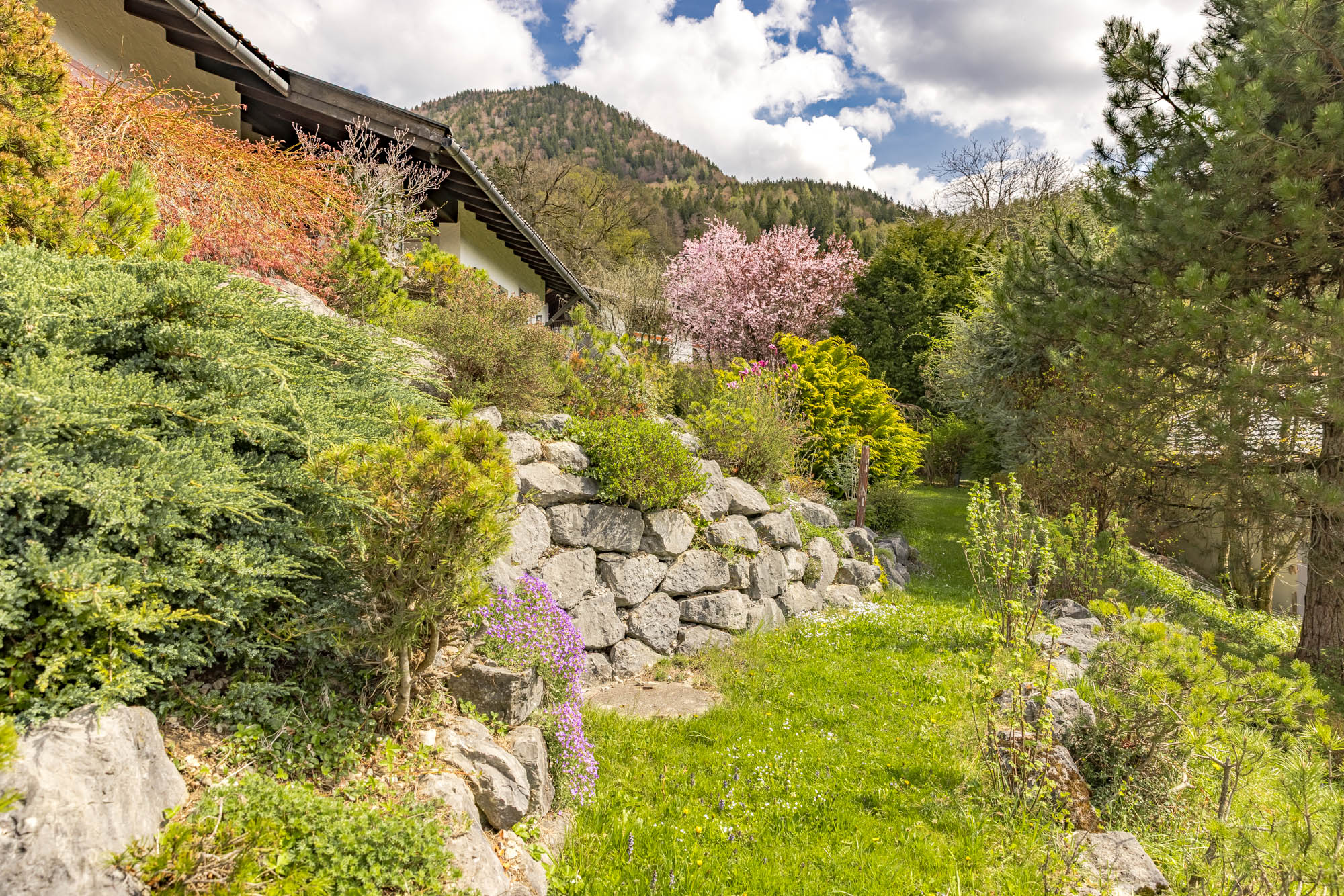  Alpine Living - Front Row to the Mountains - 物件實景