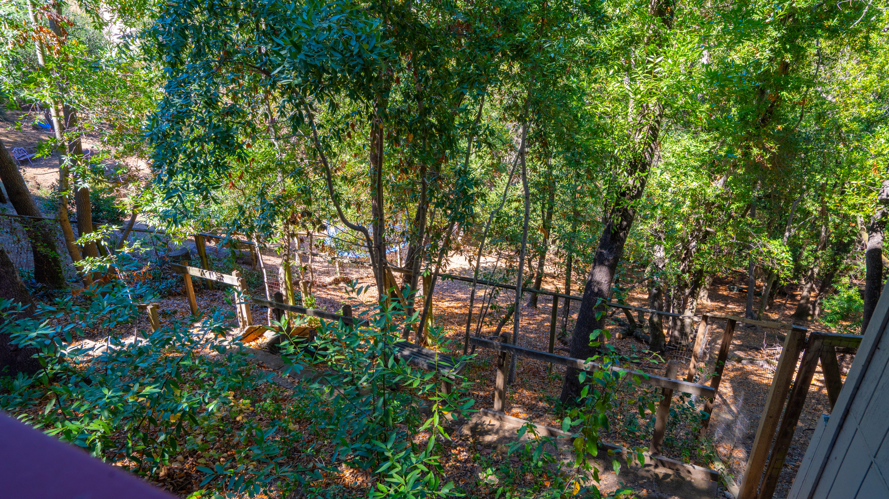  Panoramic Views in Private East Novato - 物件實景