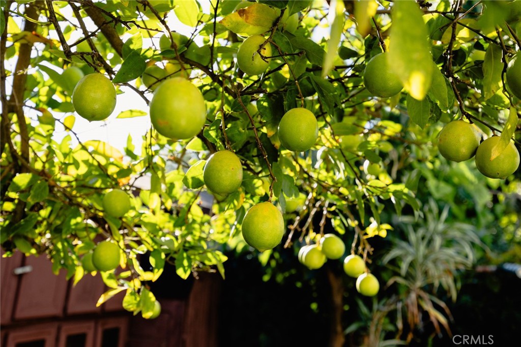 Rosemead, California, 91770, United States, 5 Bedrooms Bedrooms, ,4 BathroomsBathrooms,Residential,For Sale,2008833