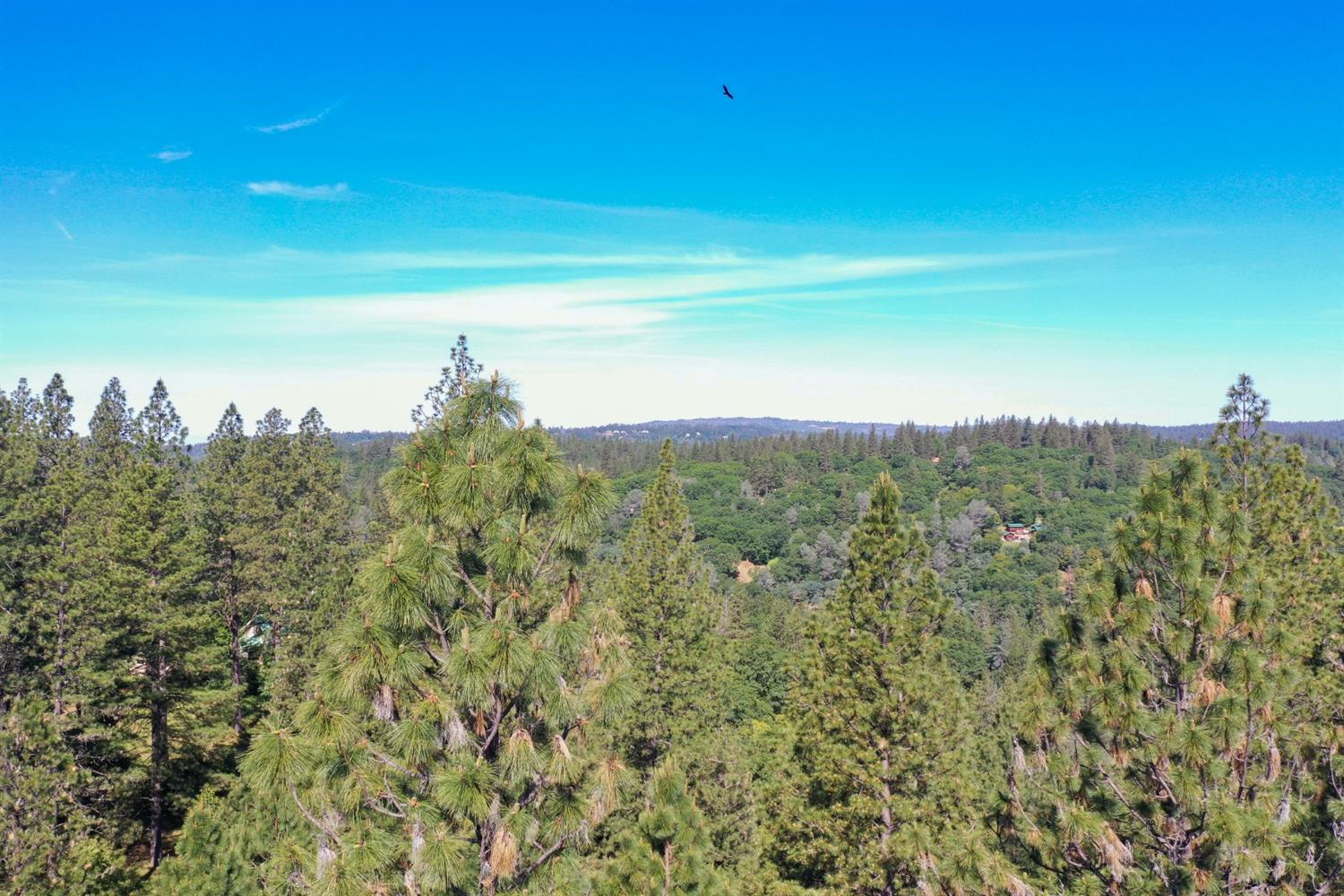 Grass Valley, California, 95949, United States, 3 Bedrooms Bedrooms, ,3 BathroomsBathrooms,Residential,For Sale,1842602
