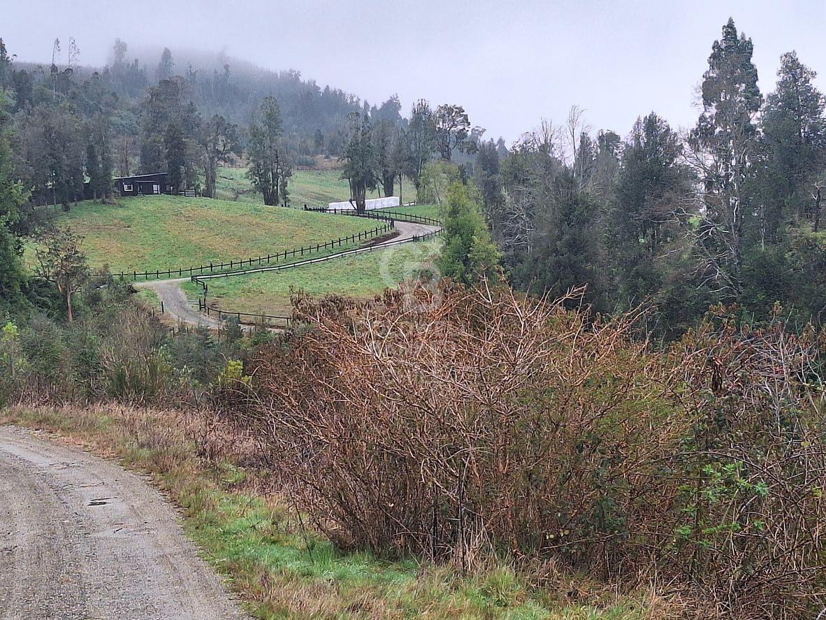 Futrono, Chile, 4 Bedrooms Bedrooms, ,3 BathroomsBathrooms,Residential,For Sale,1966703