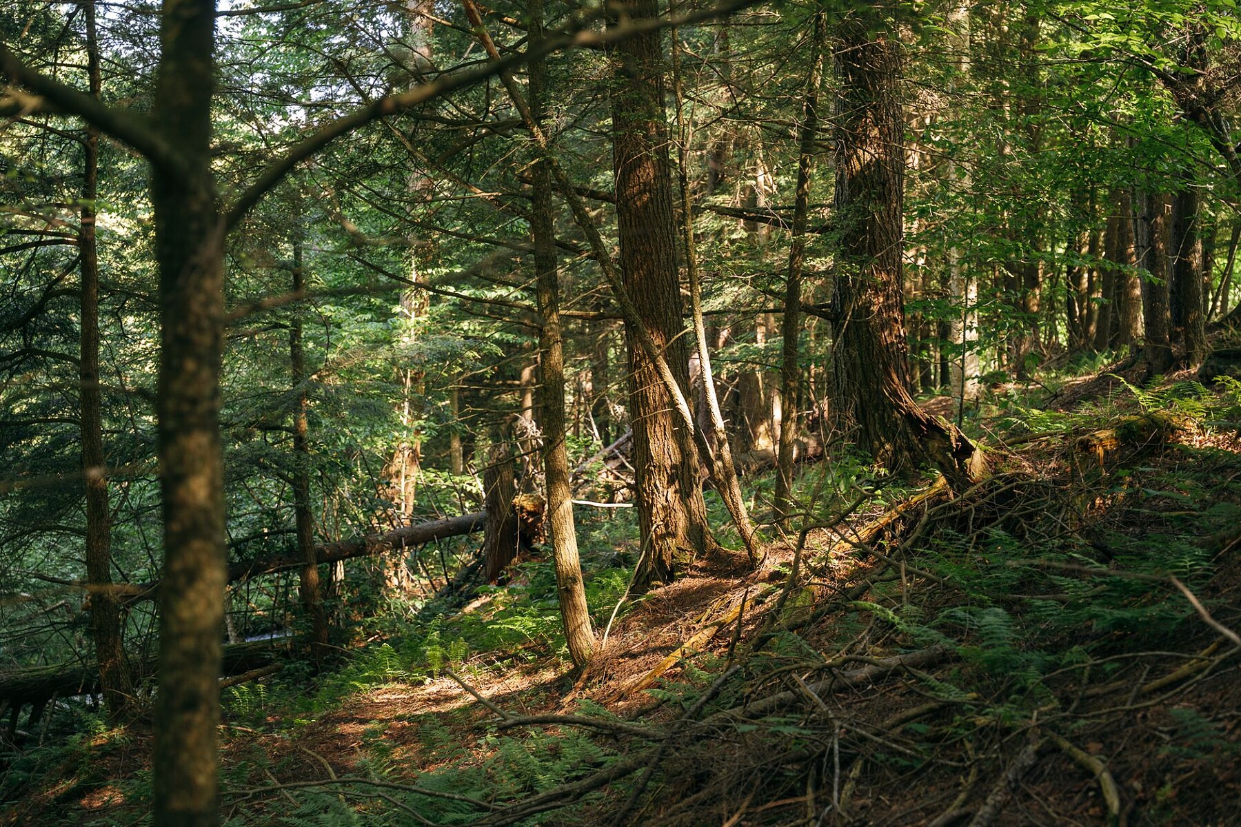  Sutton, Eastern Townships - 物件實景