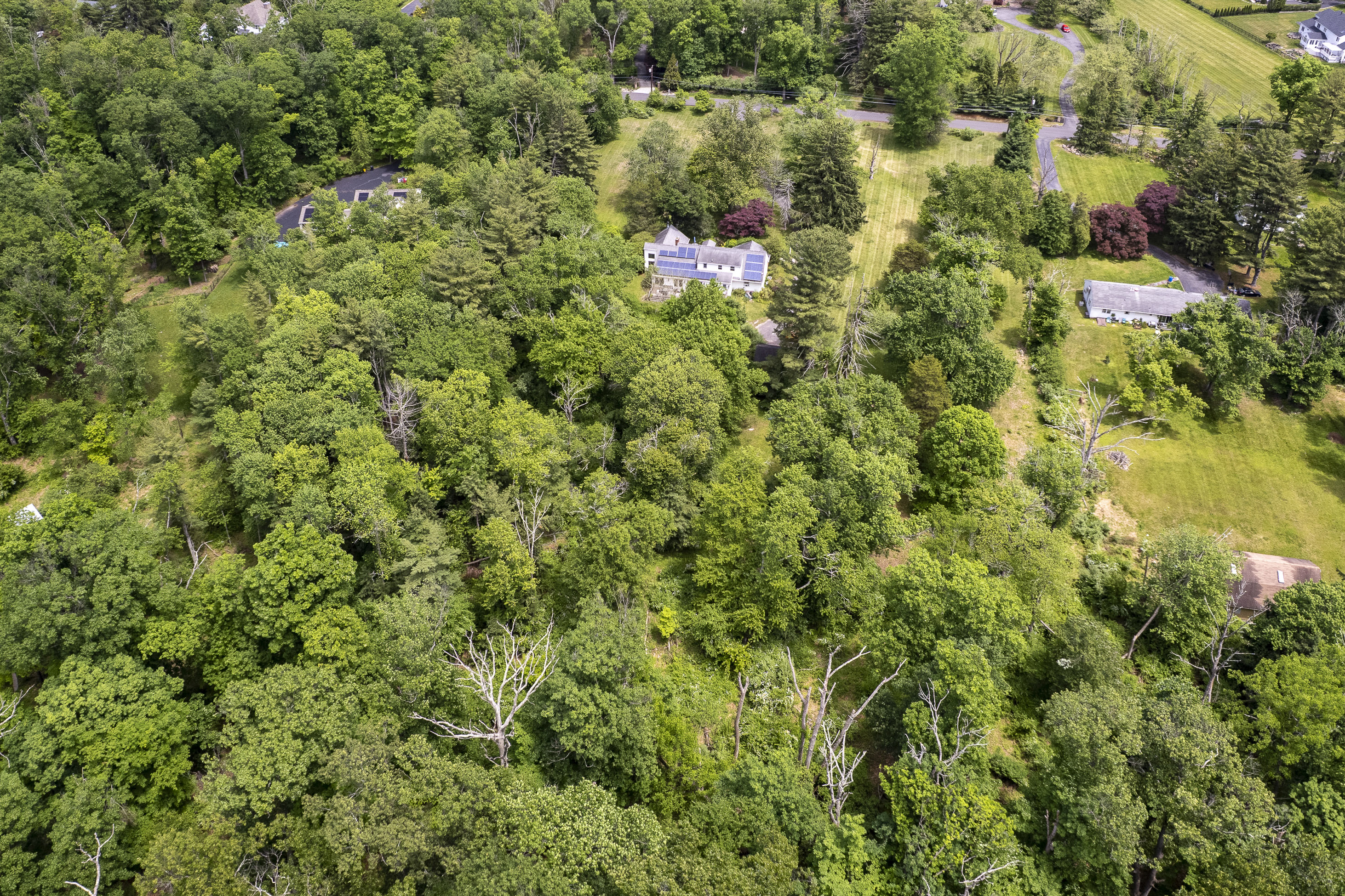  Imagine the Possibilities at This Full-of-Promise Property - 物件實景