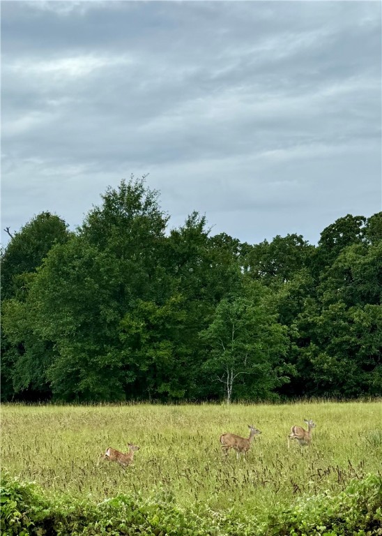 College Station, Texas, 77845, United States, 4 Bedrooms Bedrooms, ,3 BathroomsBathrooms,Residential,For Sale,1976837