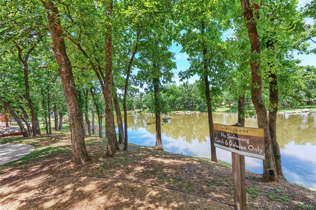 Oak Point, Texas, 75068, United States, 4 Bedrooms Bedrooms, ,4 BathroomsBathrooms,Residential,For Sale,1874893