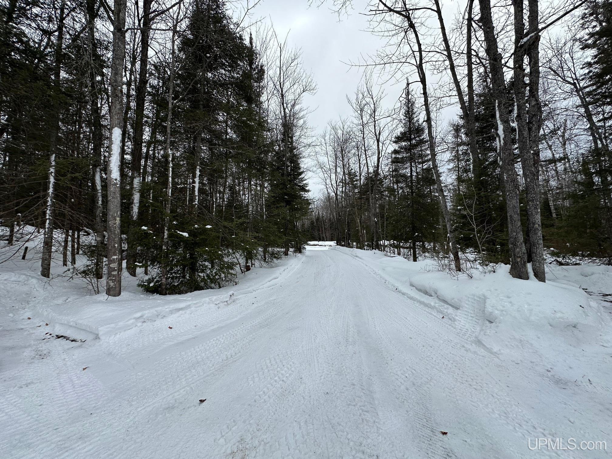 Ishpeming, Michigan, 49849-9792, United States, 5 Bedrooms Bedrooms, ,3 BathroomsBathrooms,Residential,For Sale,1795104