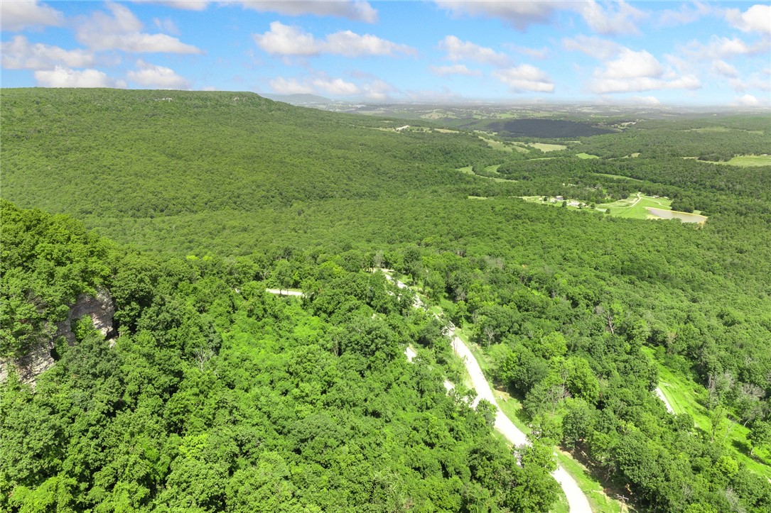 Harrison, Arkansas, 72601, United States, ,Land,For Sale,1903460