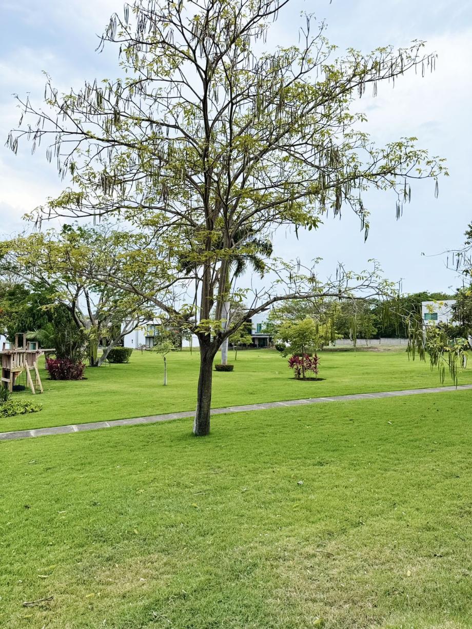 Bahía de Banderas, Nayarit, 63735, Mexico, 4 Bedrooms Bedrooms, ,3 BathroomsBathrooms,Residential,For Sale,1988005