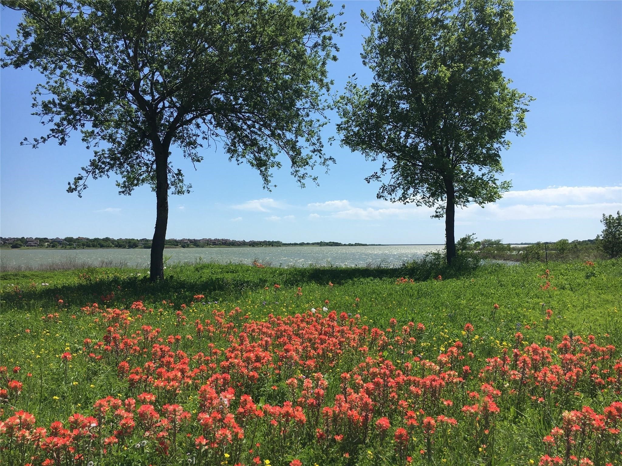 The Colony, Texas, 75056, United States, 4 Bedrooms Bedrooms, ,3 BathroomsBathrooms,Residential,For Sale,1987995