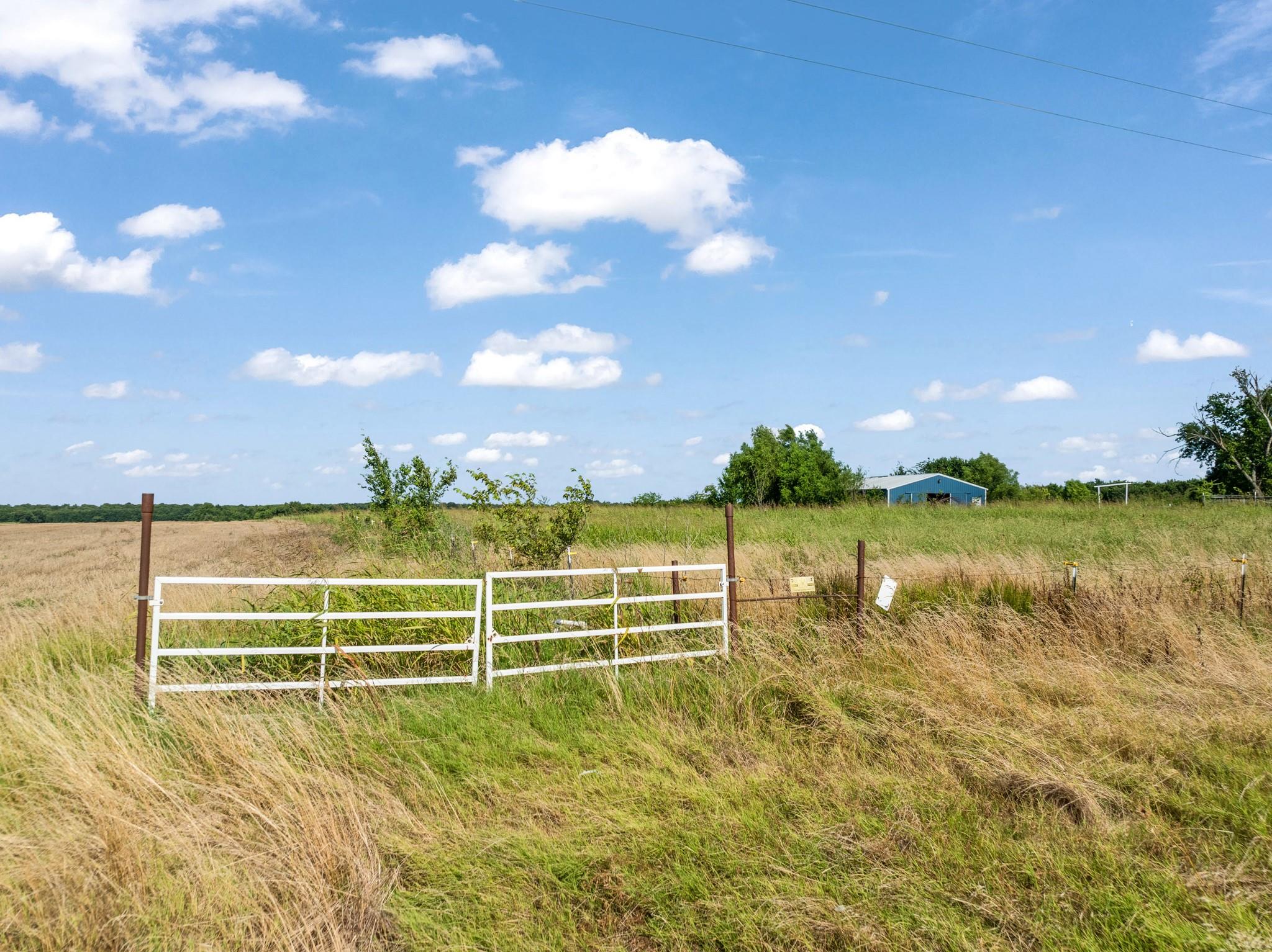 Blossom, Texas, 75416, United States, 3 Bedrooms Bedrooms, ,2 BathroomsBathrooms,Residential,For Sale,1880566