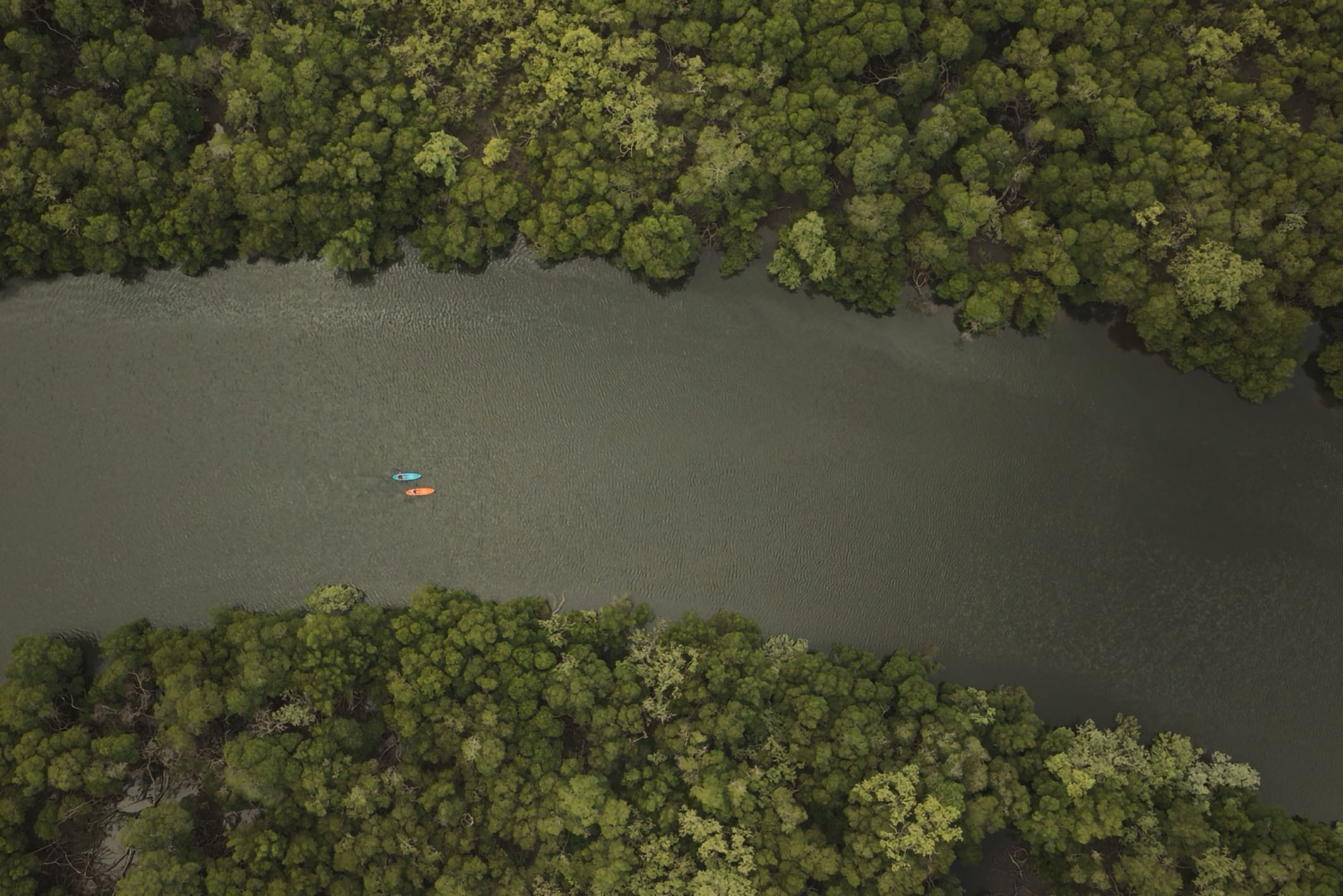  Morada Barlavento: A Retreat of Sophistication and Nature - 物件實景