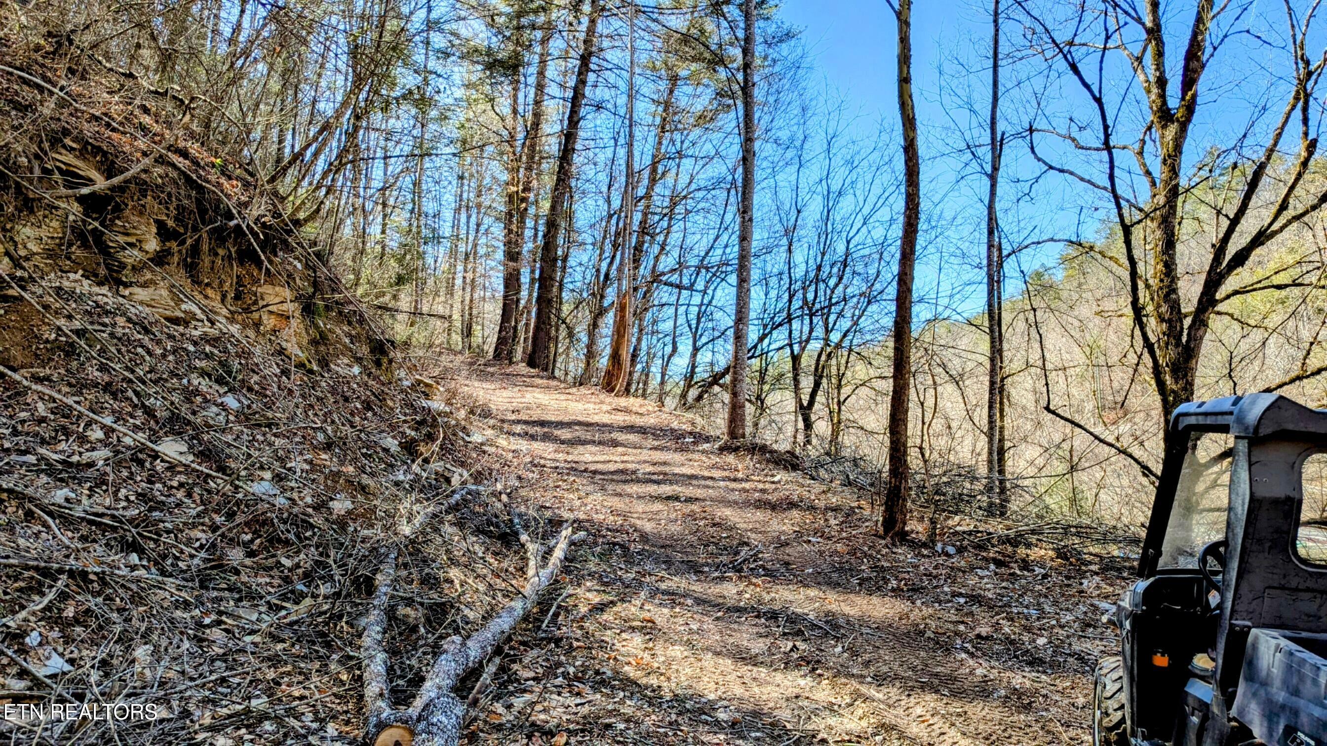 Townsend, Tennessee, 37882, United States, ,Land,For Sale,1978973