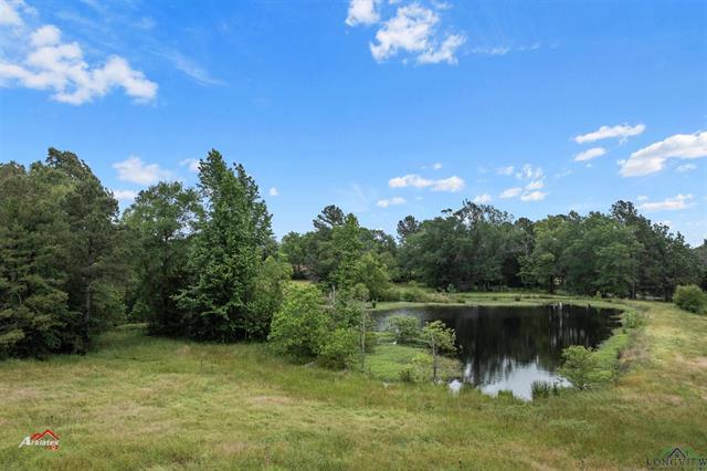 Carthage, Texas, 75633, United States, ,Land,For Sale,1826427