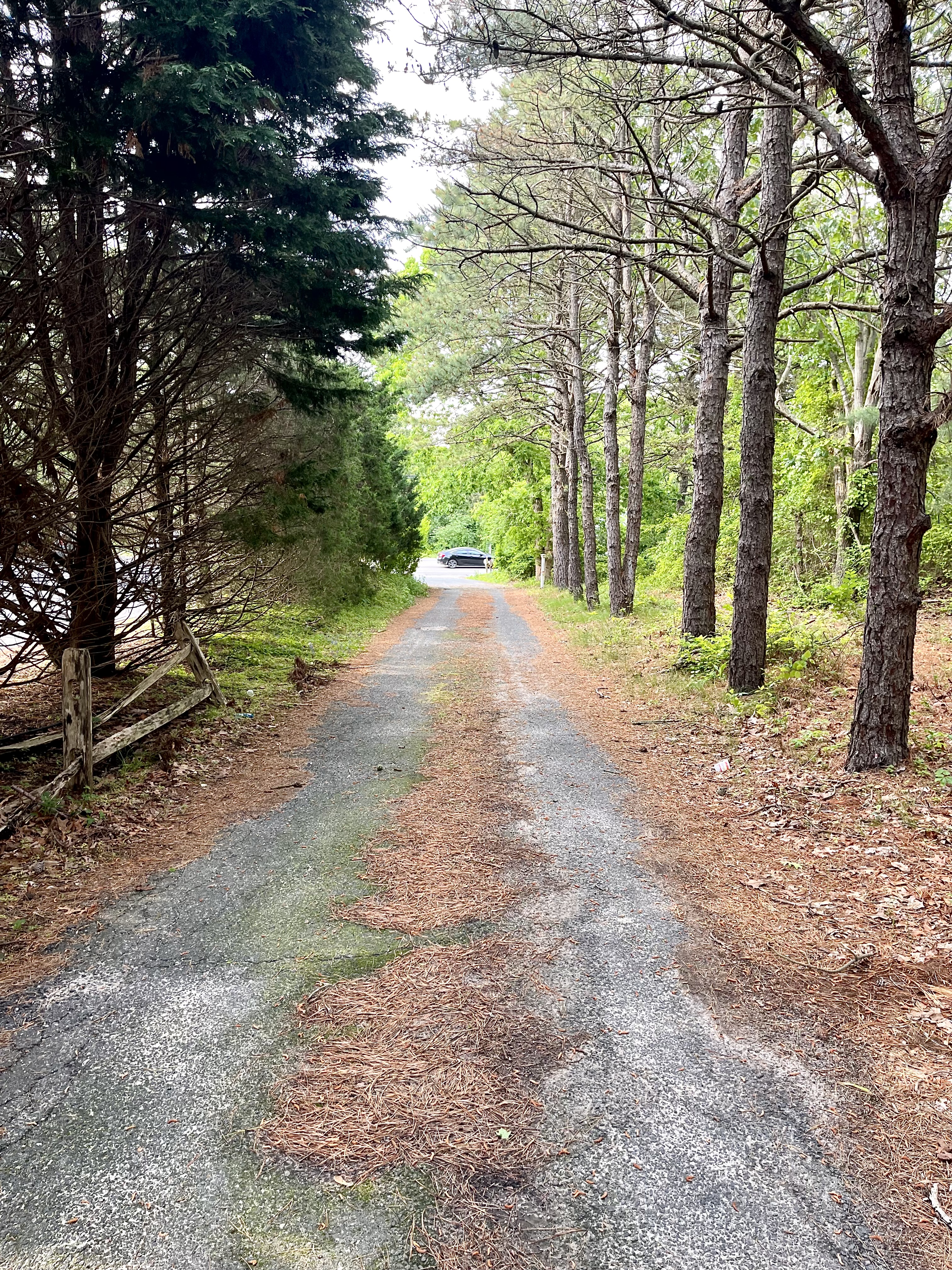 Southampton, New York, 11968, United States, ,Land,For Sale,1836791