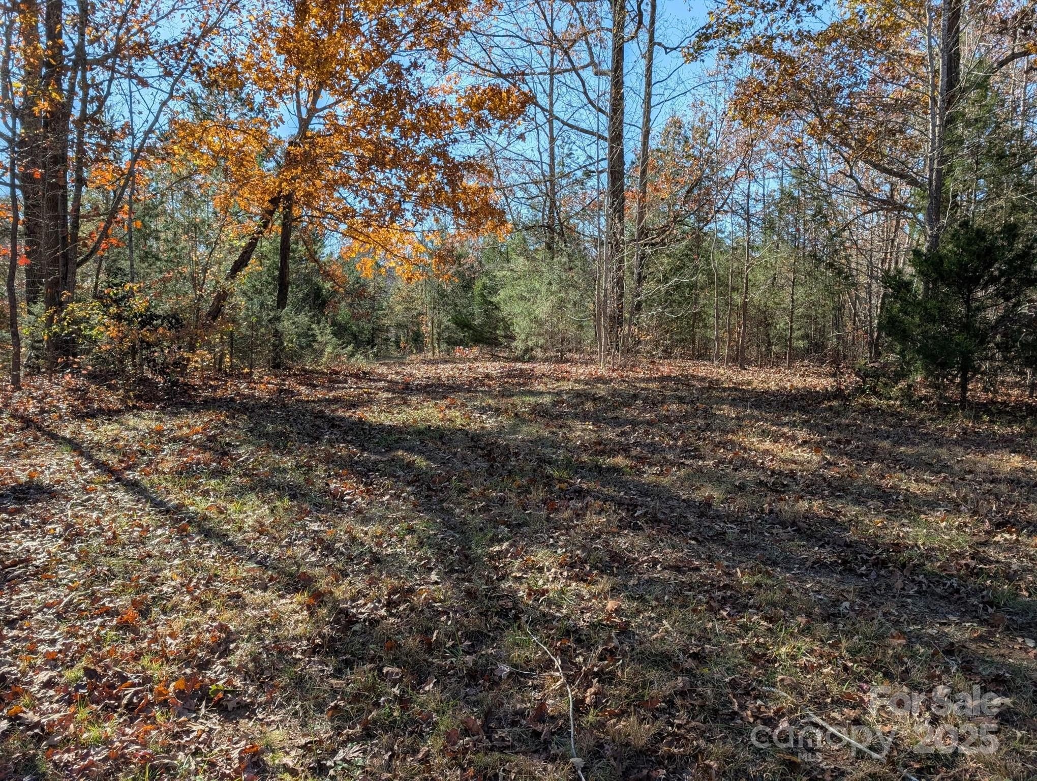 Salisbury, North Carolina, 28147, United States, ,Land,For Sale,1996519