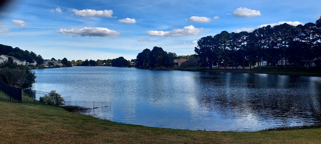 Chesapeake, Virginia, 23323, United States, 3 Bedrooms Bedrooms, ,3 BathroomsBathrooms,Residential,For Sale,1979311