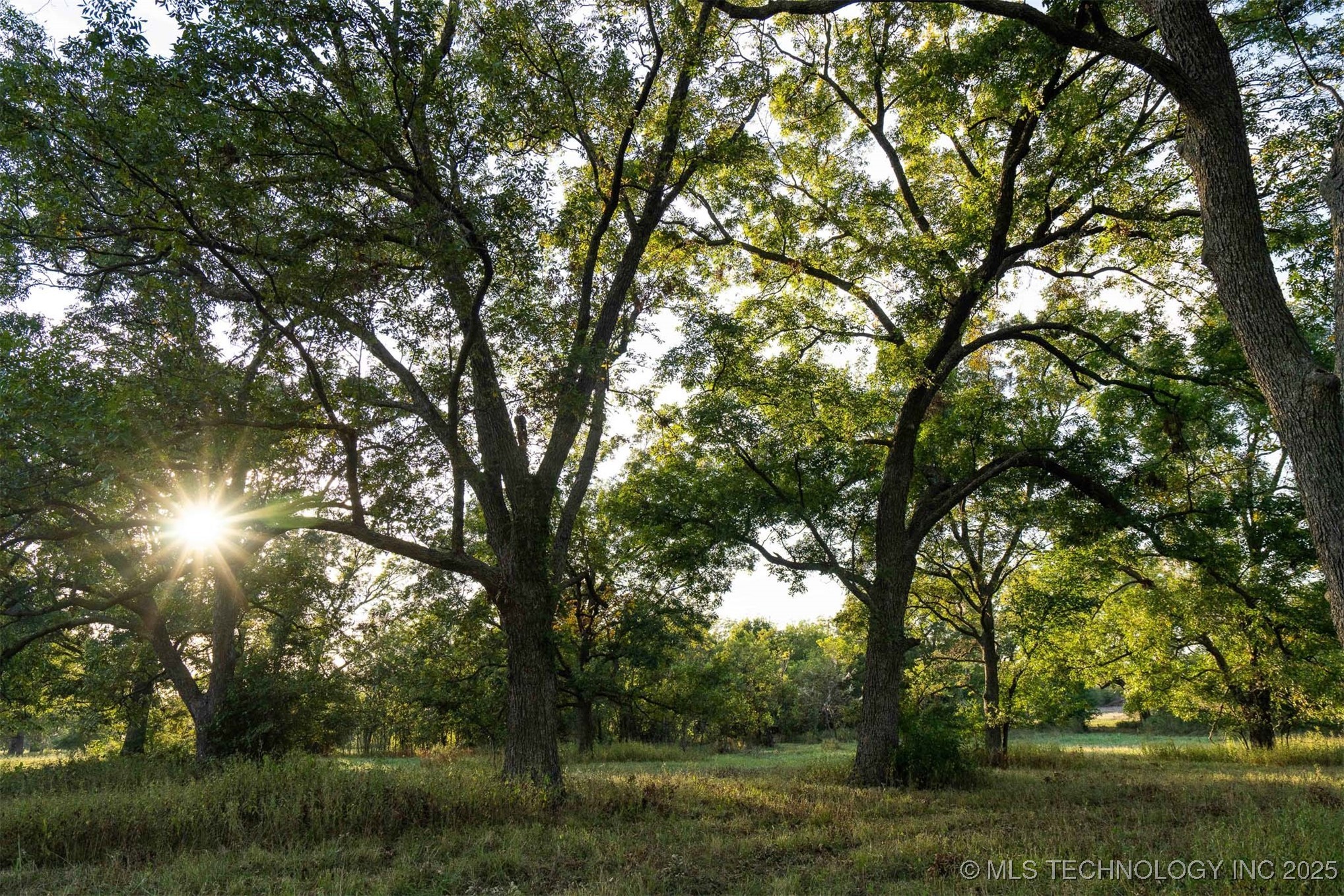 Haskell, Oklahoma, 74436, United States, ,Residential,For Sale,1989119