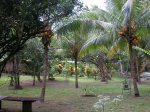 Vainilla Pochote Tambor, Tambor, Puntarenas, CR, ,Land,For Sale,Vainilla Pochote Tambor,1616133