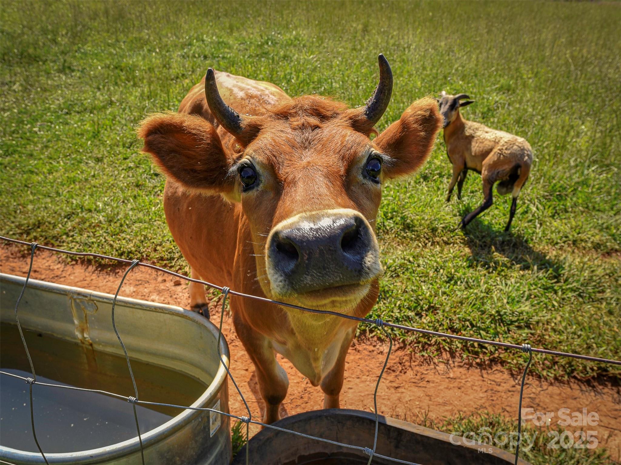 Forest City, North Carolina, 28043, United States, 2 Bedrooms Bedrooms, ,1 BathroomBathrooms,Residential,For Sale,1983157