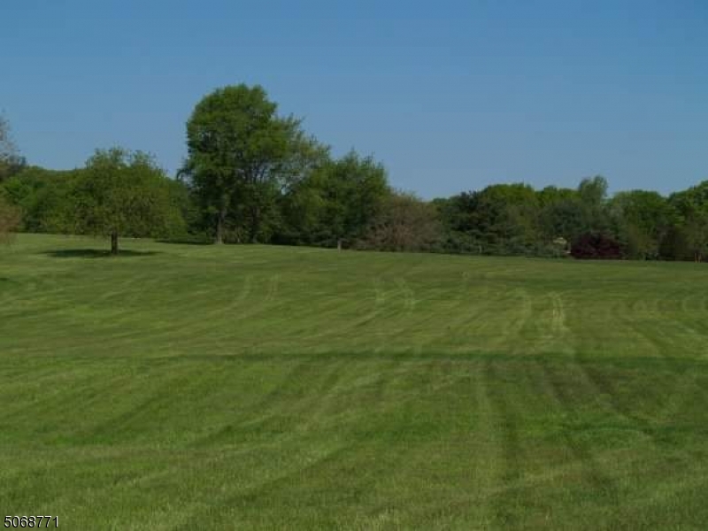 Mendham Twp., New Jersey, 07945, United States, ,Land,For Sale,1877223