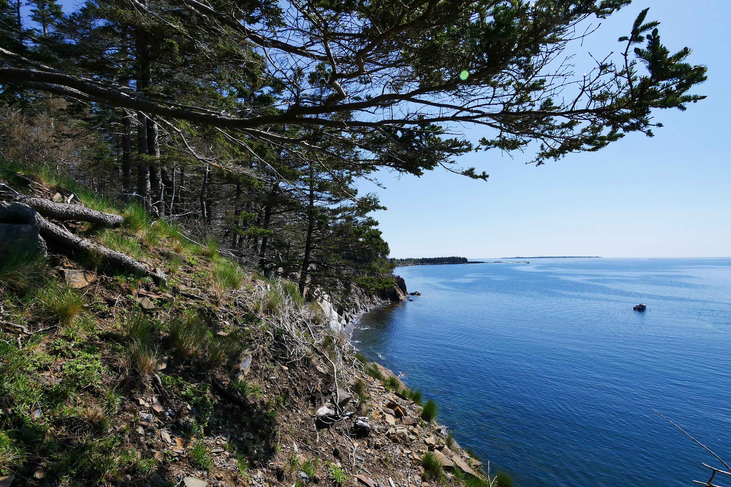  Feltzen South, South Shore - 物件實景