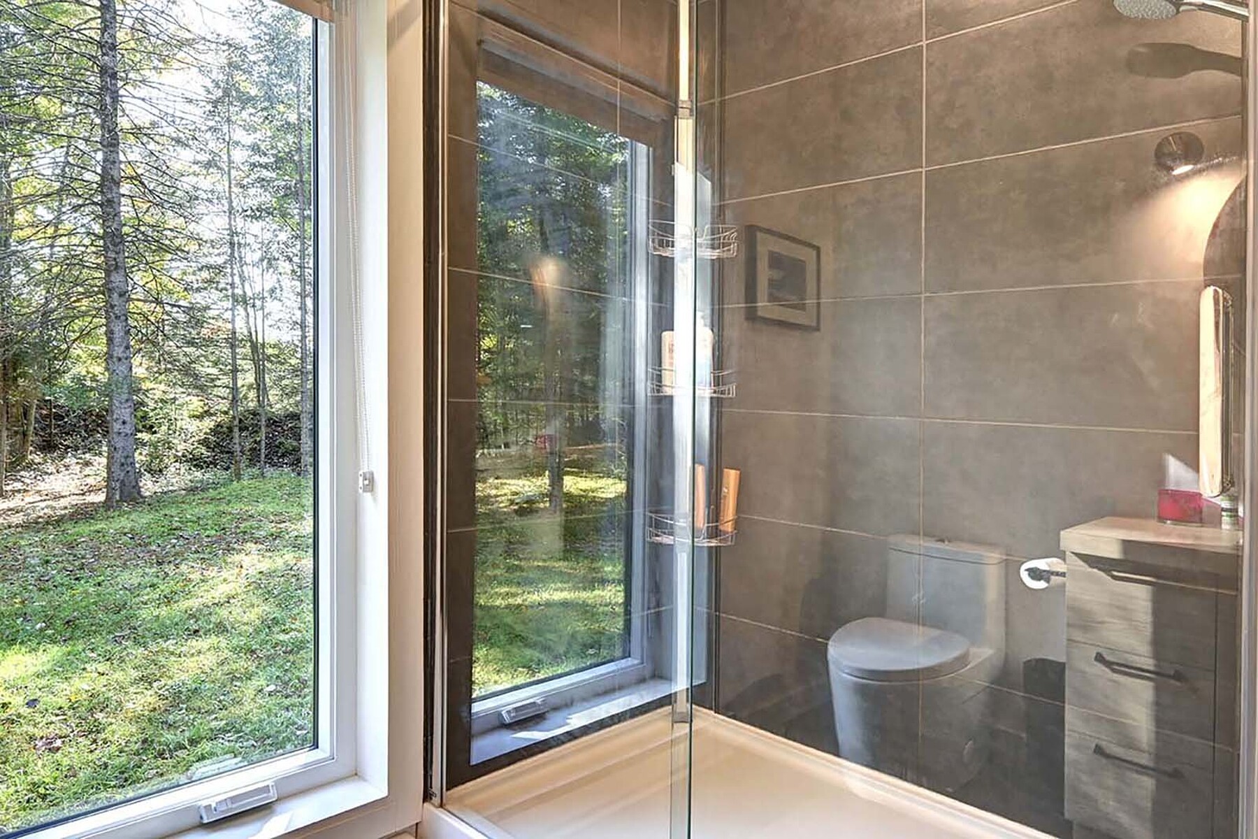  Mont-Tremblant, Laurentides - 物件實景
