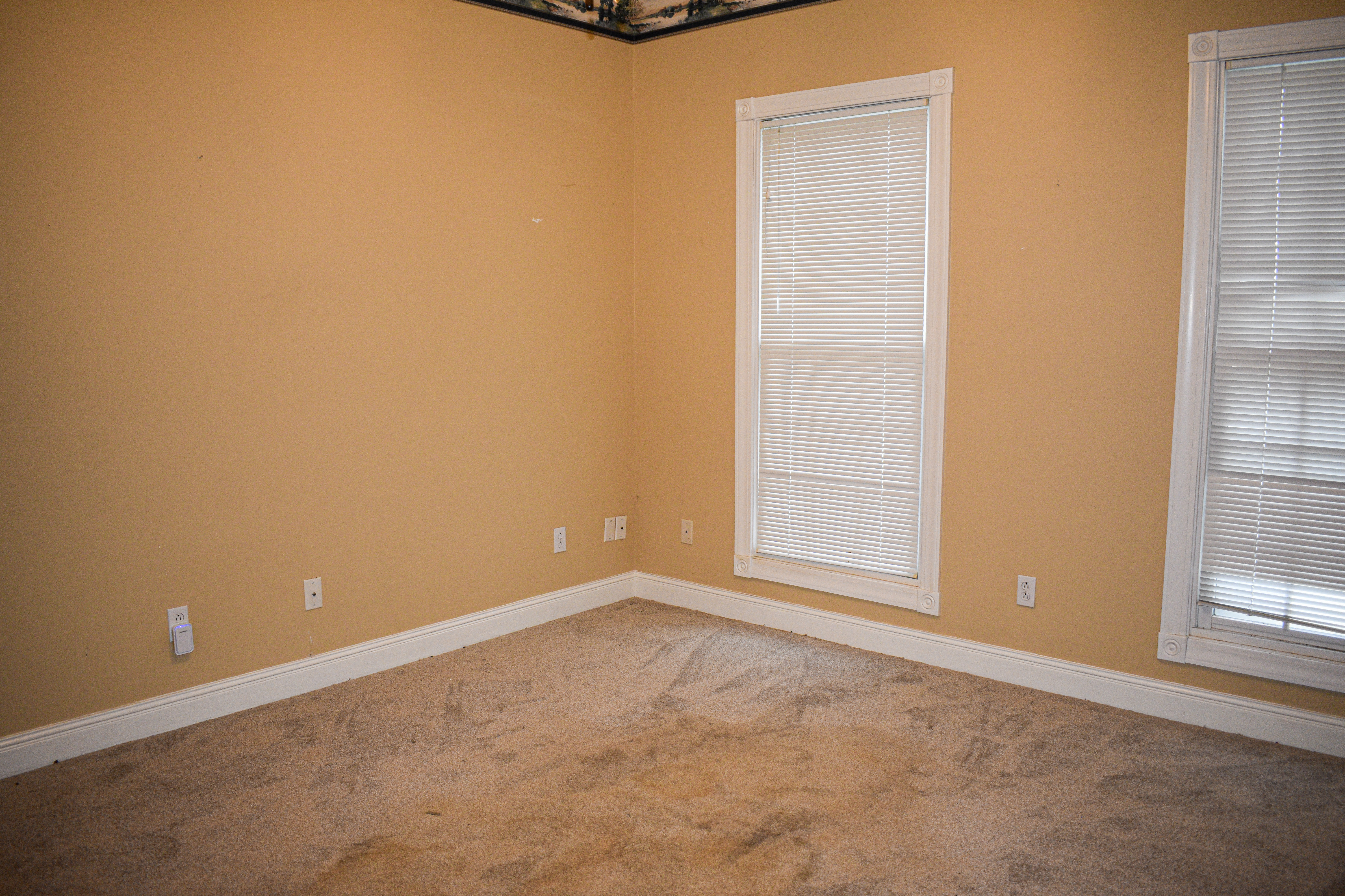 Union City, Tennessee, 38261, United States, 4 Bedrooms Bedrooms, ,4 BathroomsBathrooms,Residential,For Sale,1937100