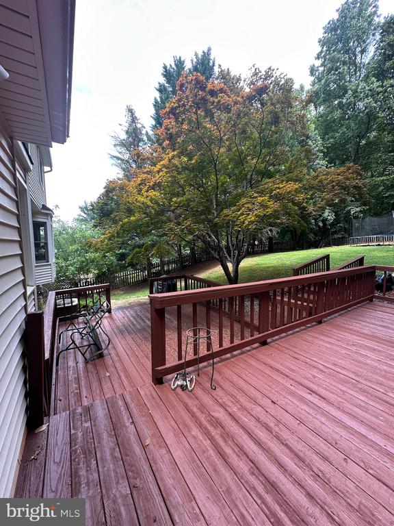 Stafford, Virginia, 22554, United States, 5 Bedrooms Bedrooms, ,3 BathroomsBathrooms,Residential,For Sale,1930374