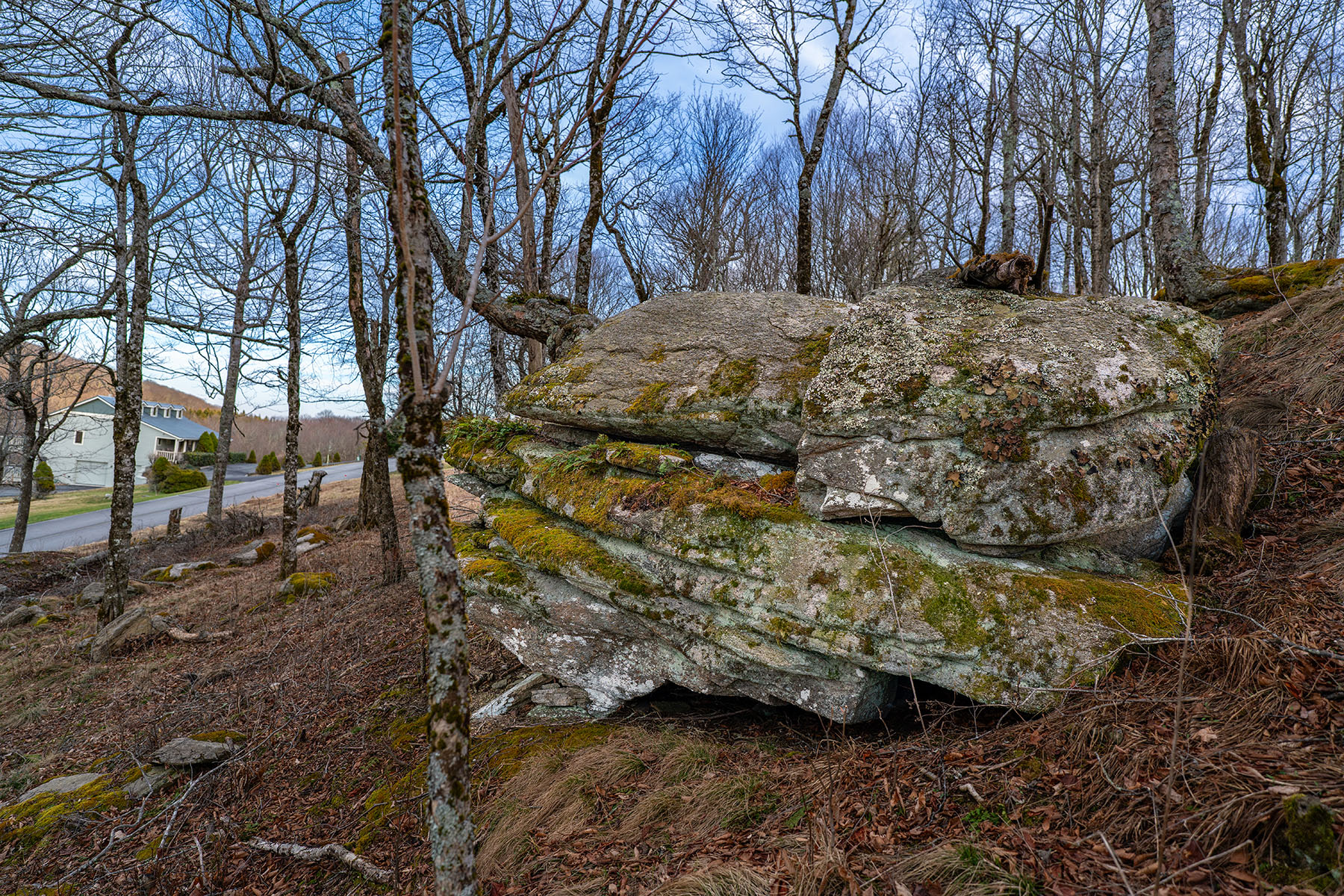  WOODLAND MEADOWS - BEECH MOUNTAIN - 物件實景