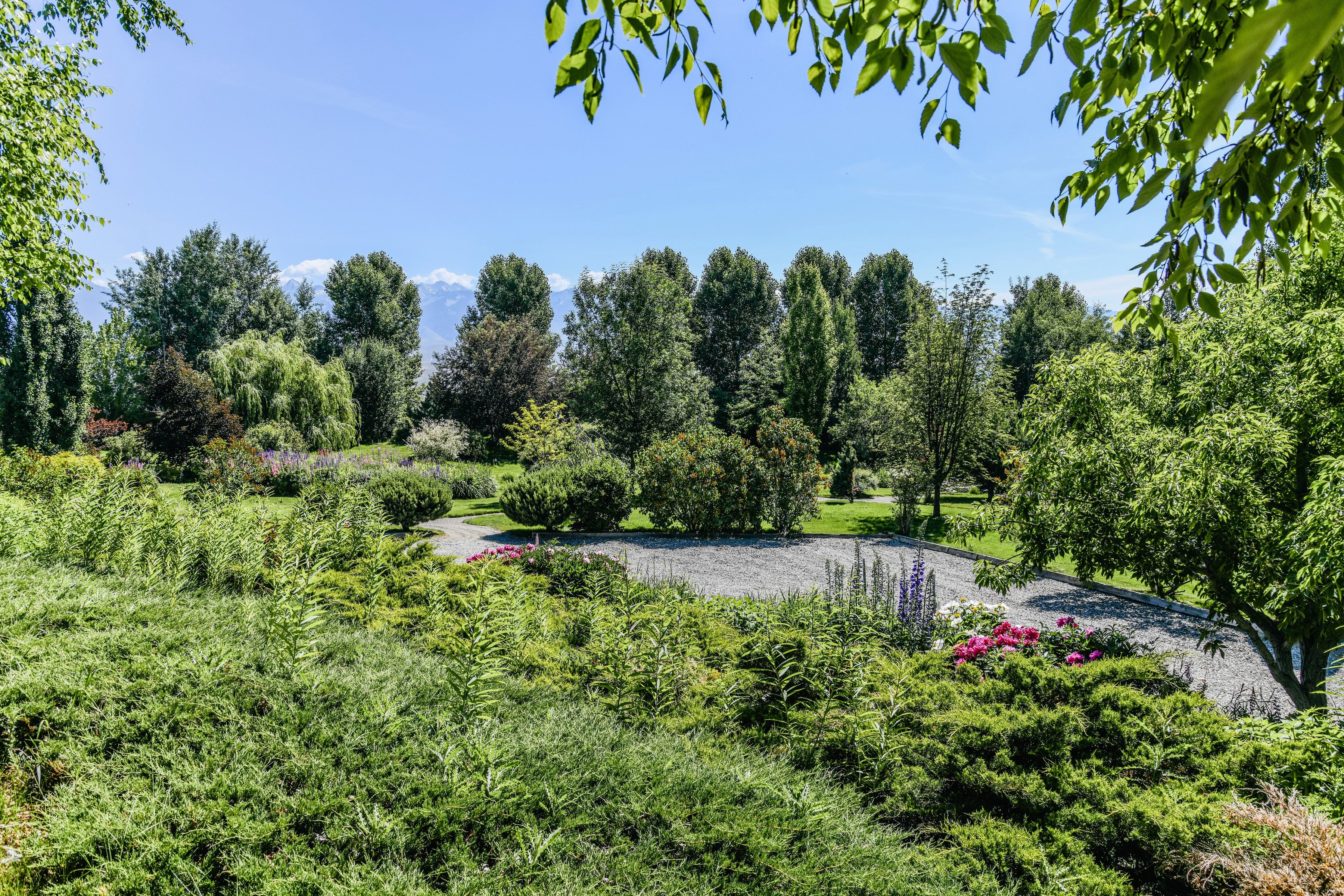  Mountain View Estate - Salmon, Idaho - 物件實景