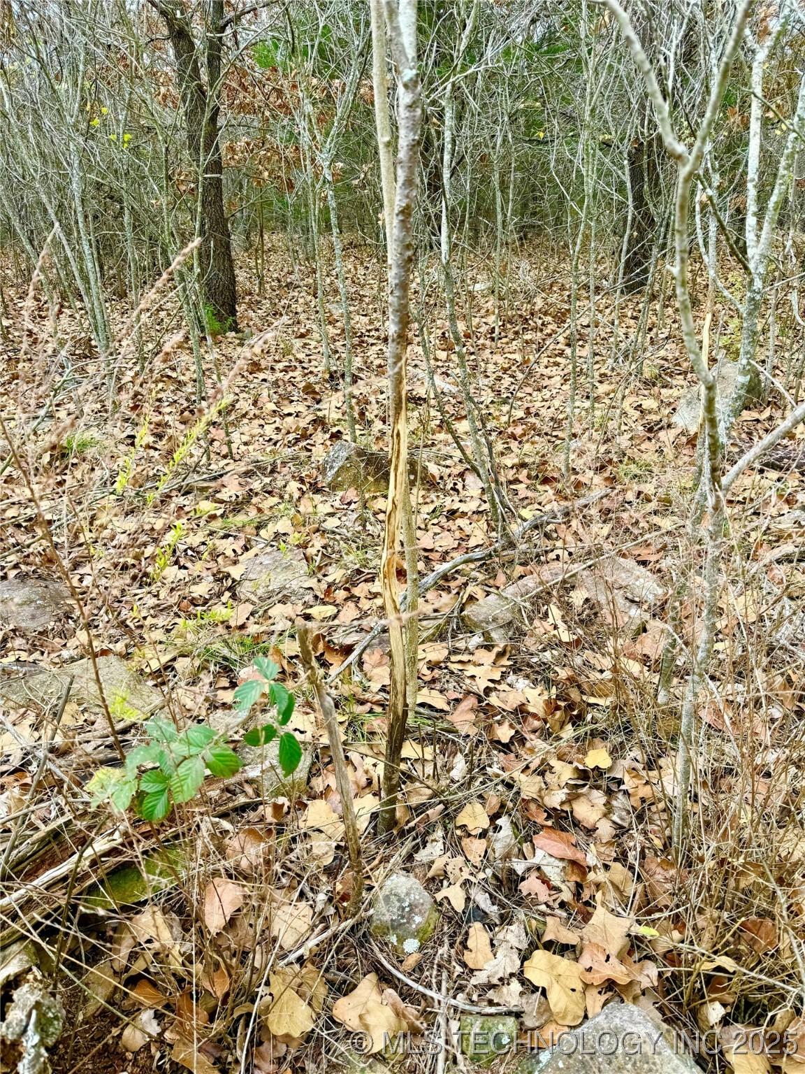 Fort Gibson, Oklahoma, 74434, United States, ,Residential,For Sale,2006417