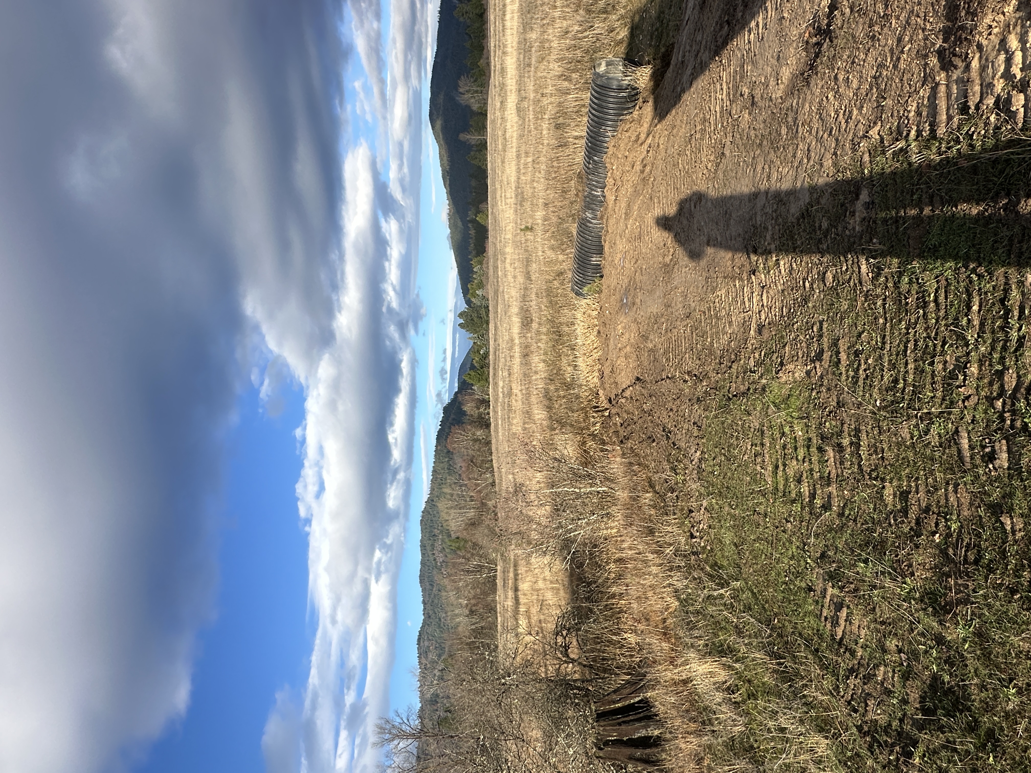 Priest River, Idaho, 83856, United States, ,Land,For Sale,2006127