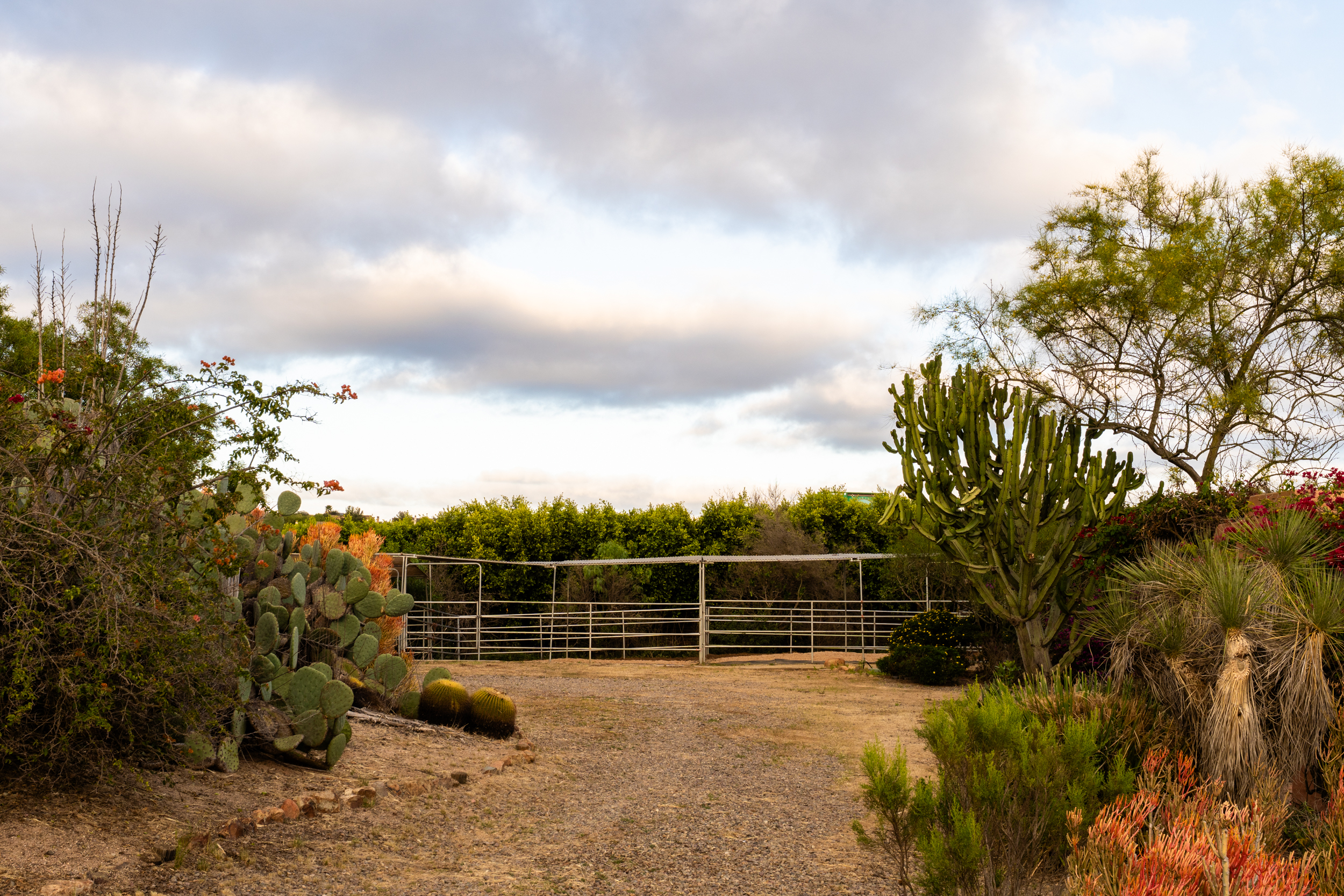  16761 Artesian Breeze Way, San Diego, CA 92127 - 物件實景