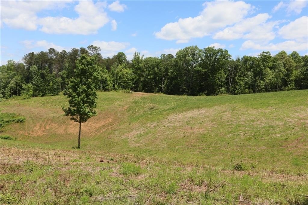 Ellijay, Georgia, 30540, United States, ,Land,For Sale,1979935