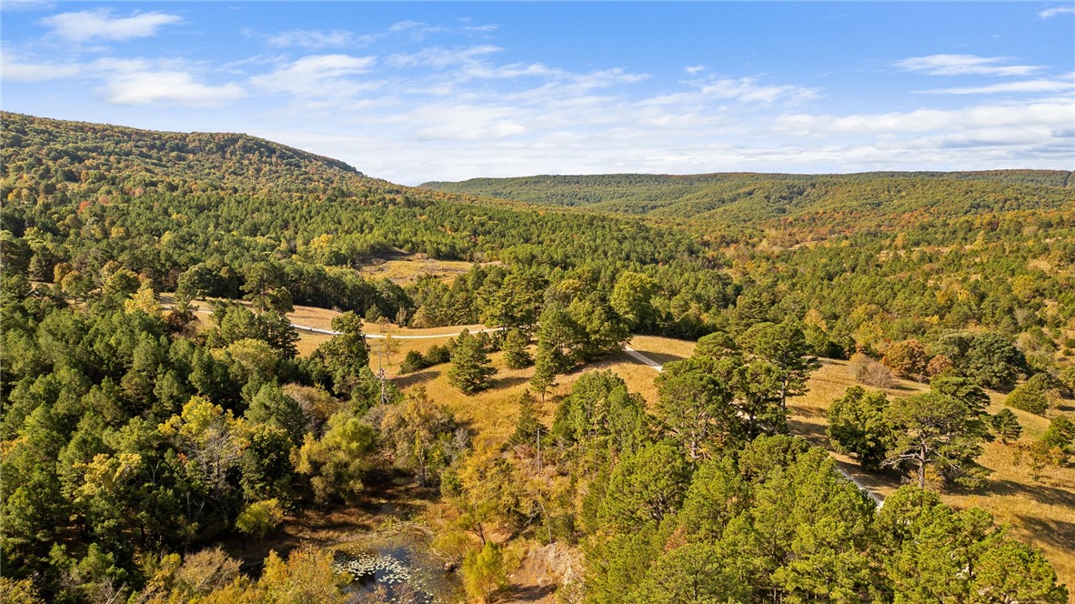 Harrison, Arkansas, 72601, United States, ,Land,For Sale,1903460