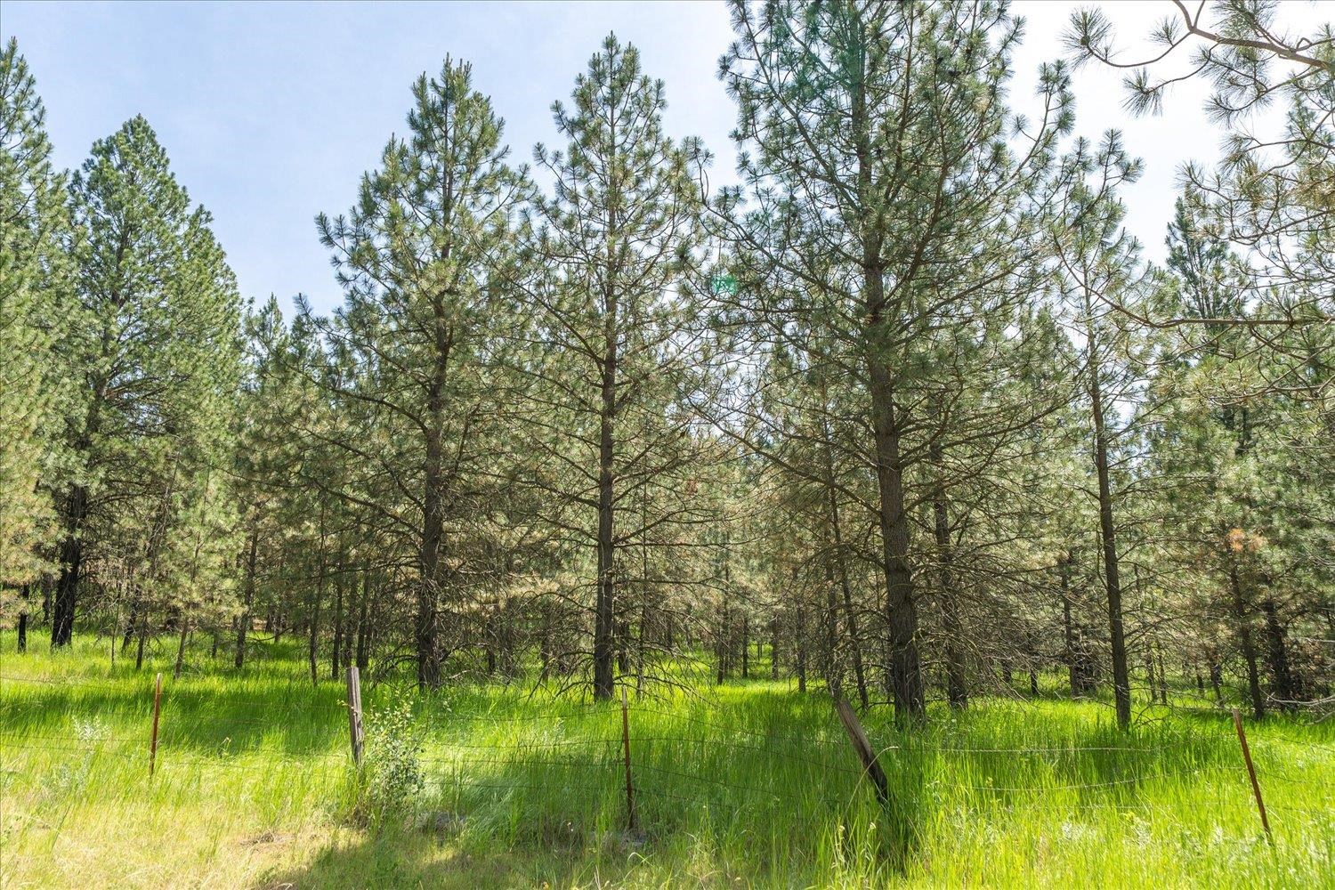 Spokane, Washington, 99212, United States, 4 Bedrooms Bedrooms, ,6 BathroomsBathrooms,Residential,For Sale,1978183