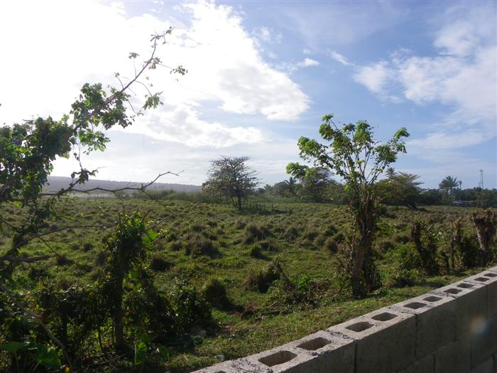 Cabarete, DO, ,Land,For Sale,1621301