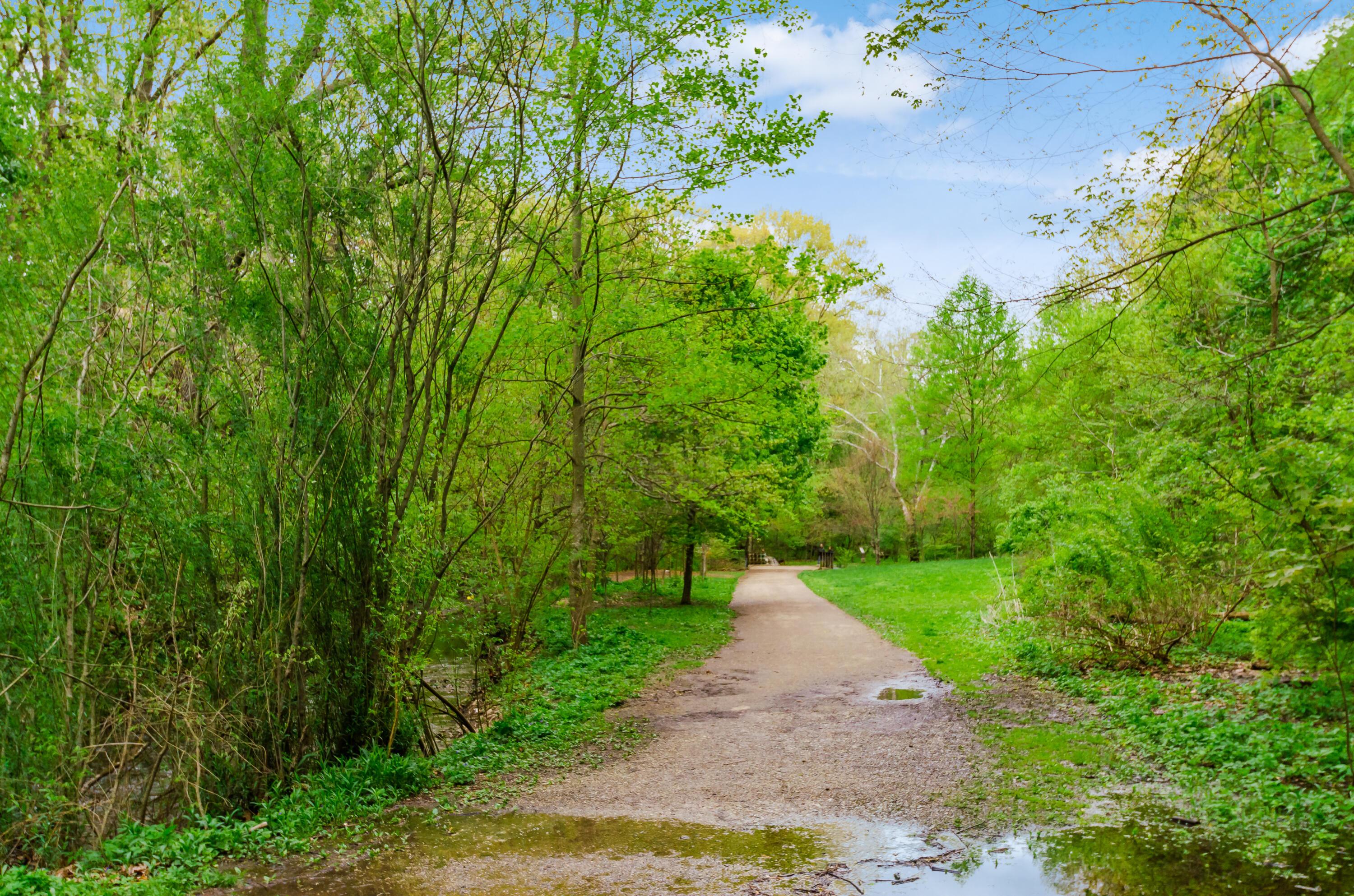 Columbus, Ohio, 43202, United States, 5 Bedrooms Bedrooms, ,4 BathroomsBathrooms,Residential,For Sale,1988321