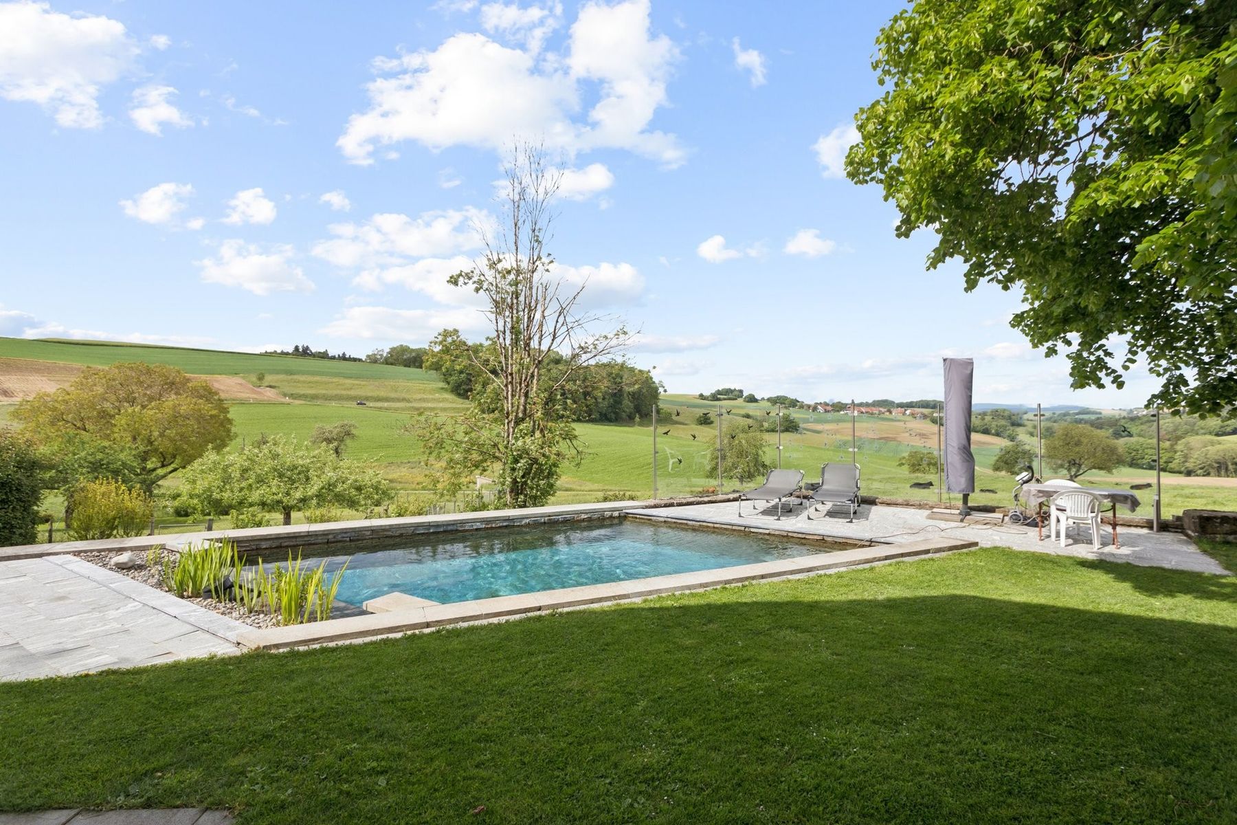  An exceptional estate in the heart of the Vaud countryside - 物件實景