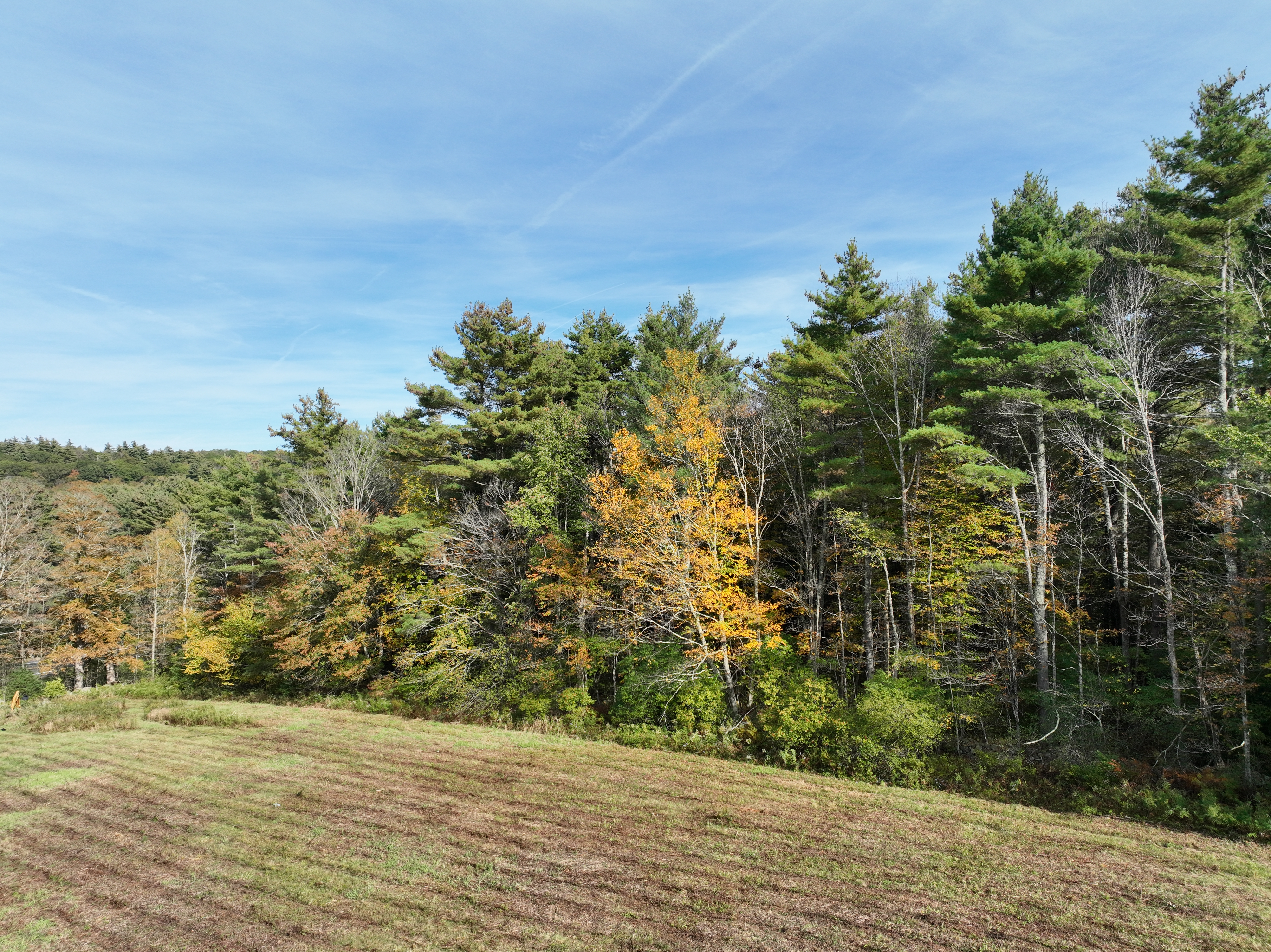  000000 Norfolk Road - 物件實景