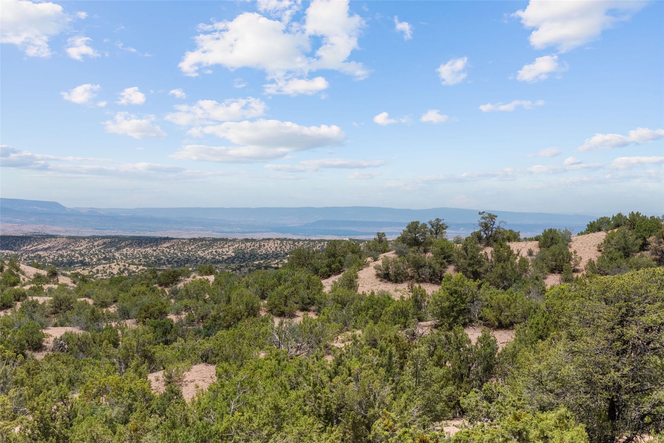  47 Pacheco Meadow Lane - 物件實景