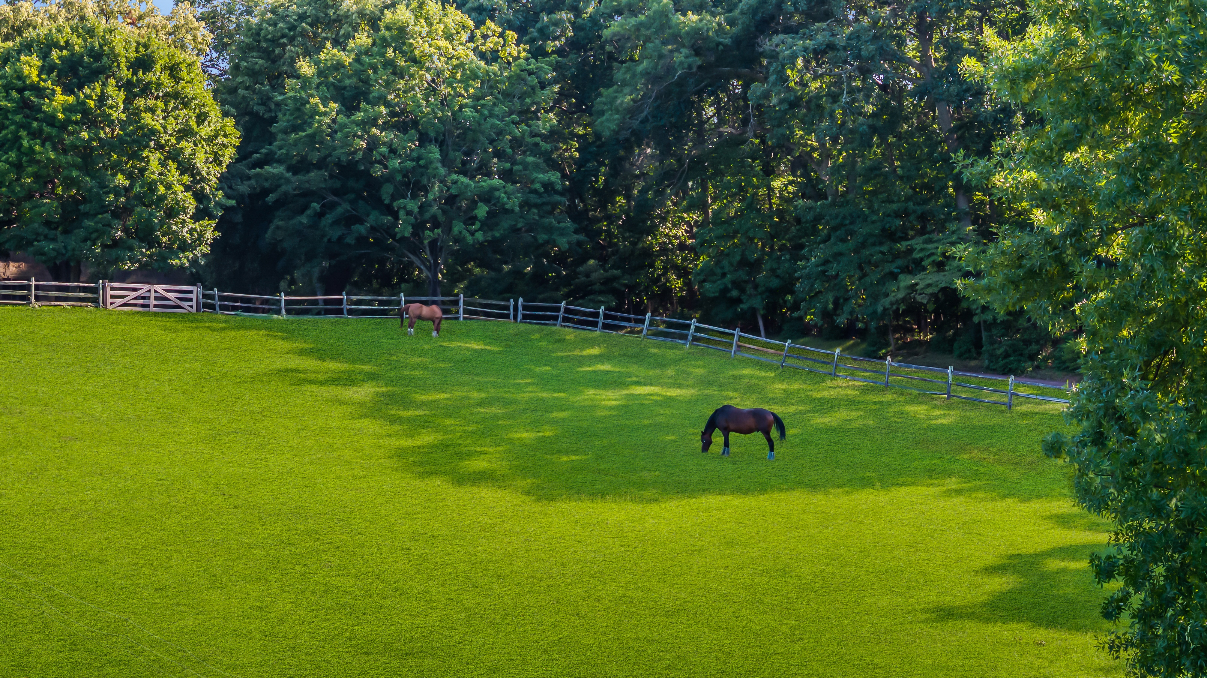  Tower Hill Farm - 物件實景
